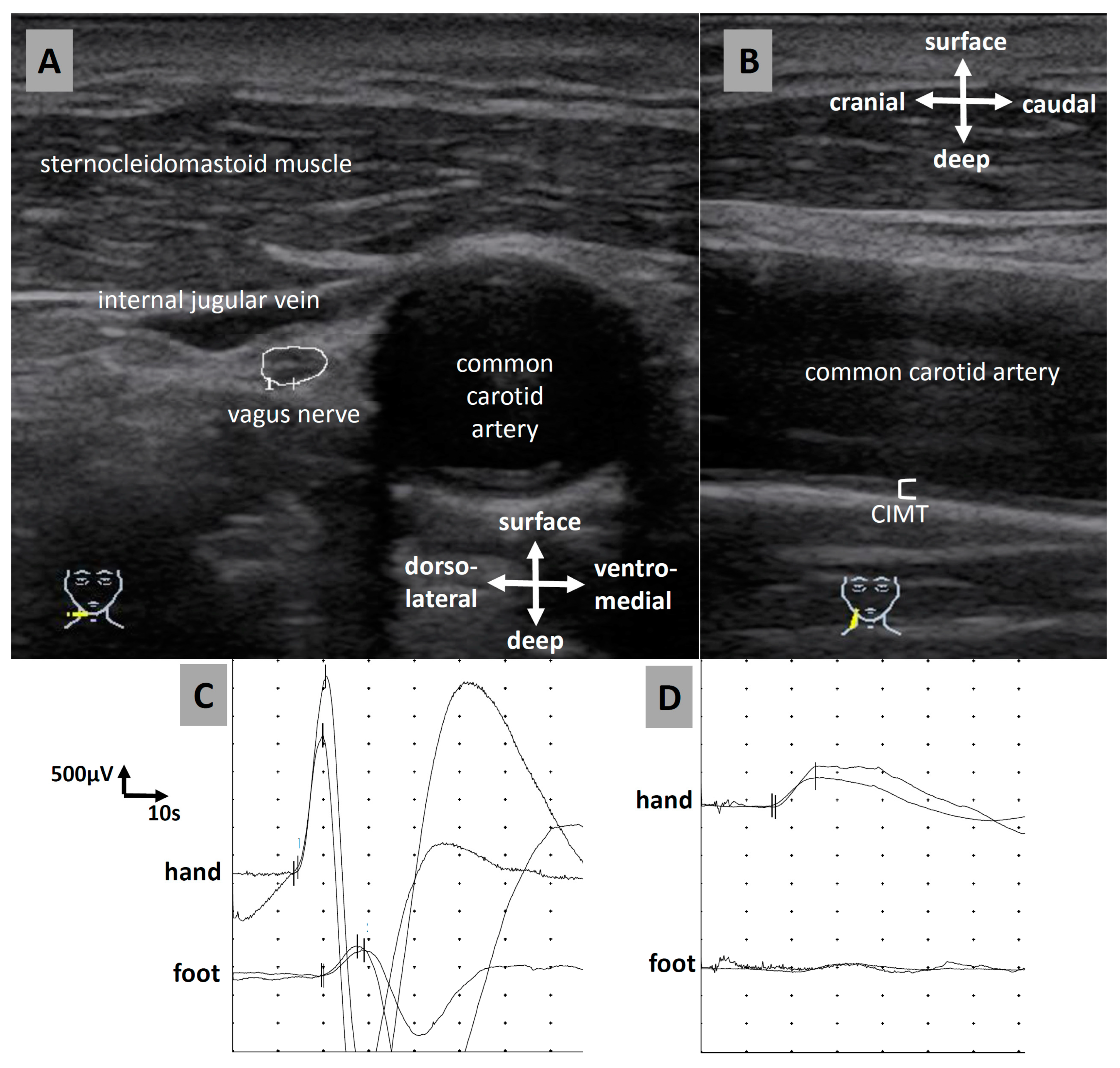 Medicina 59 00525 g001