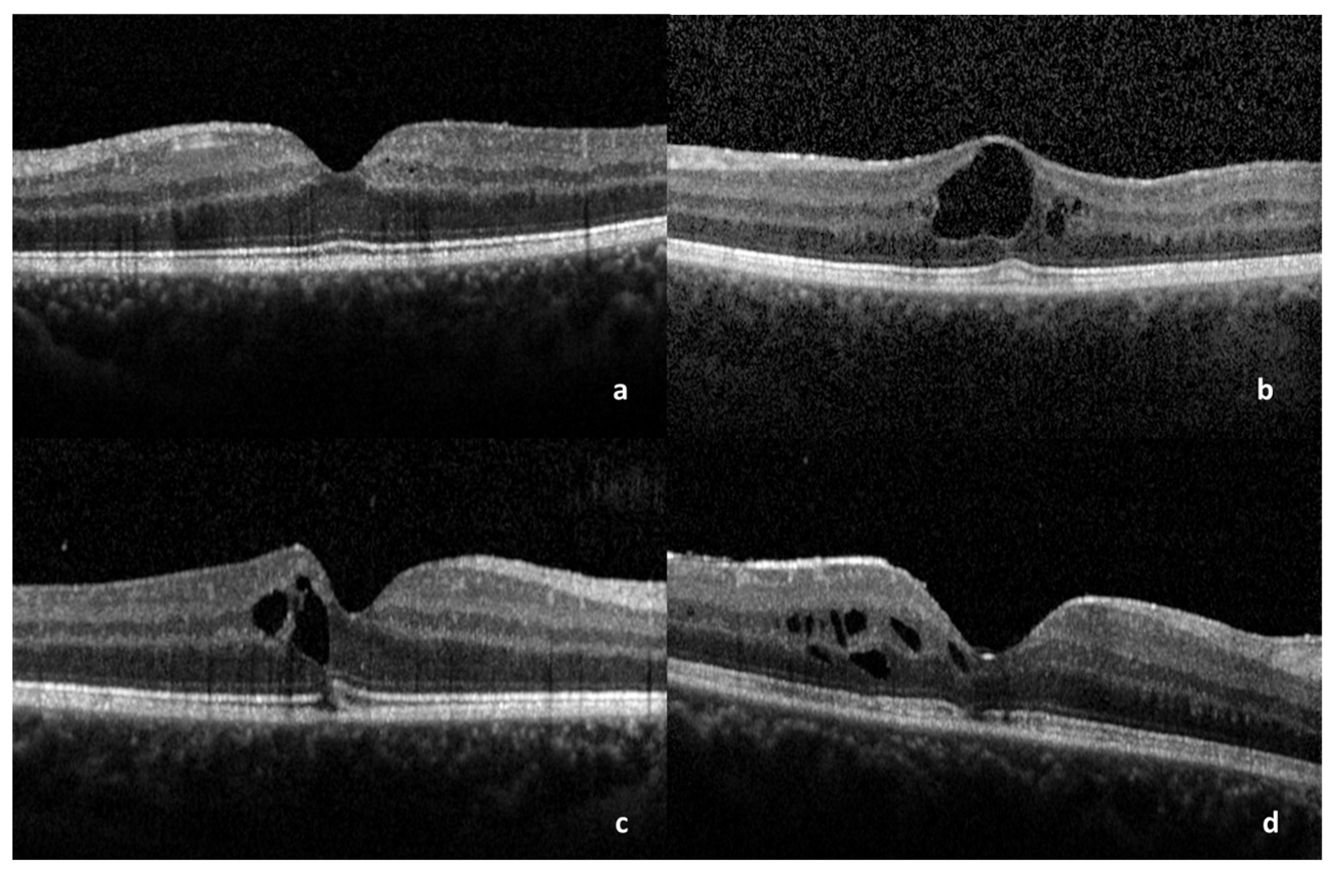 Medicina 59 00529 g002