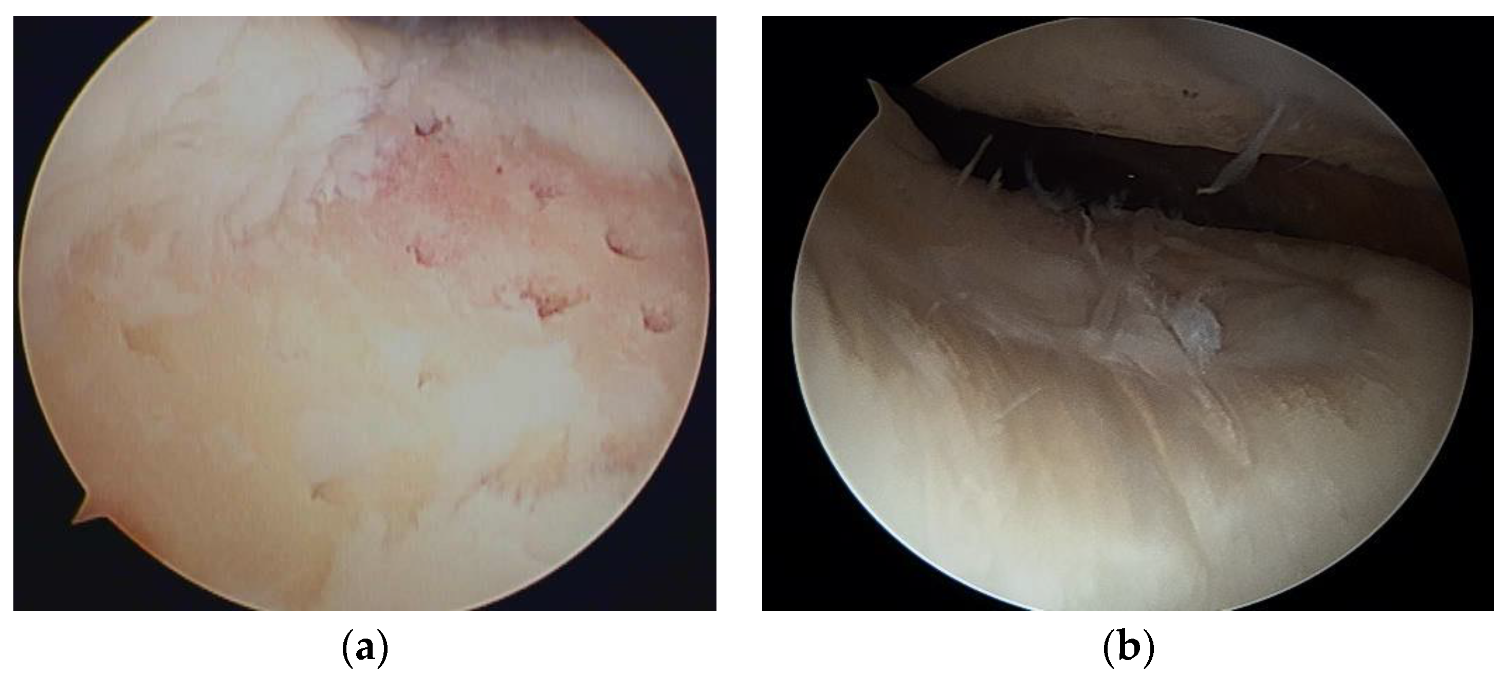 Medicina 59 00530 g002