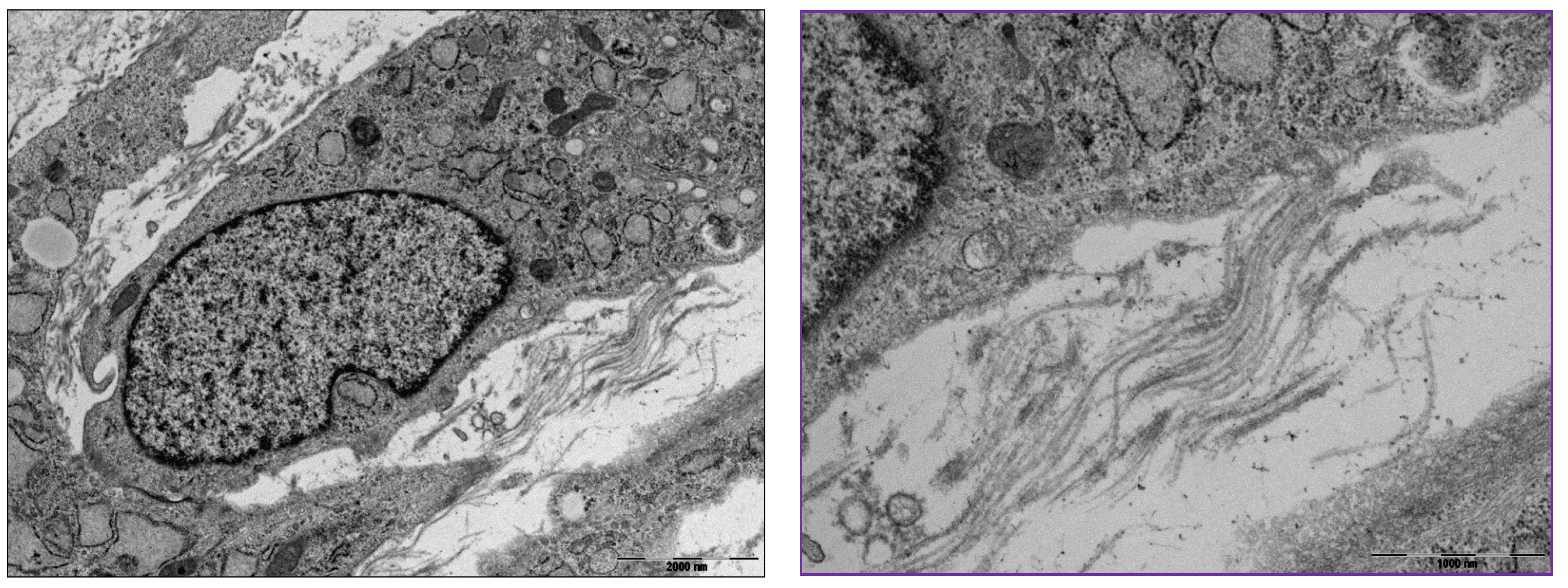 Medicina 59 00530 g007