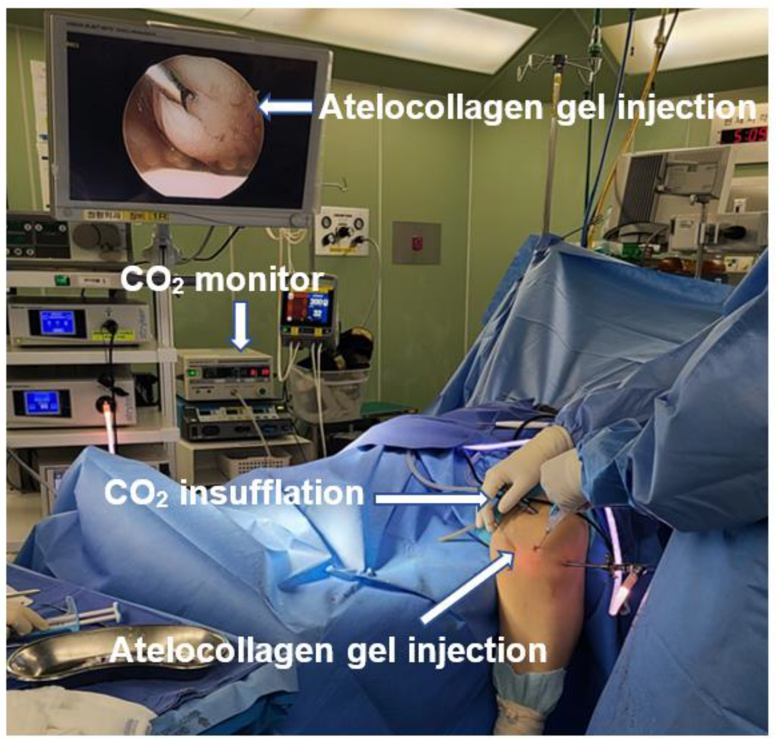 Medicina 59 00530 g009