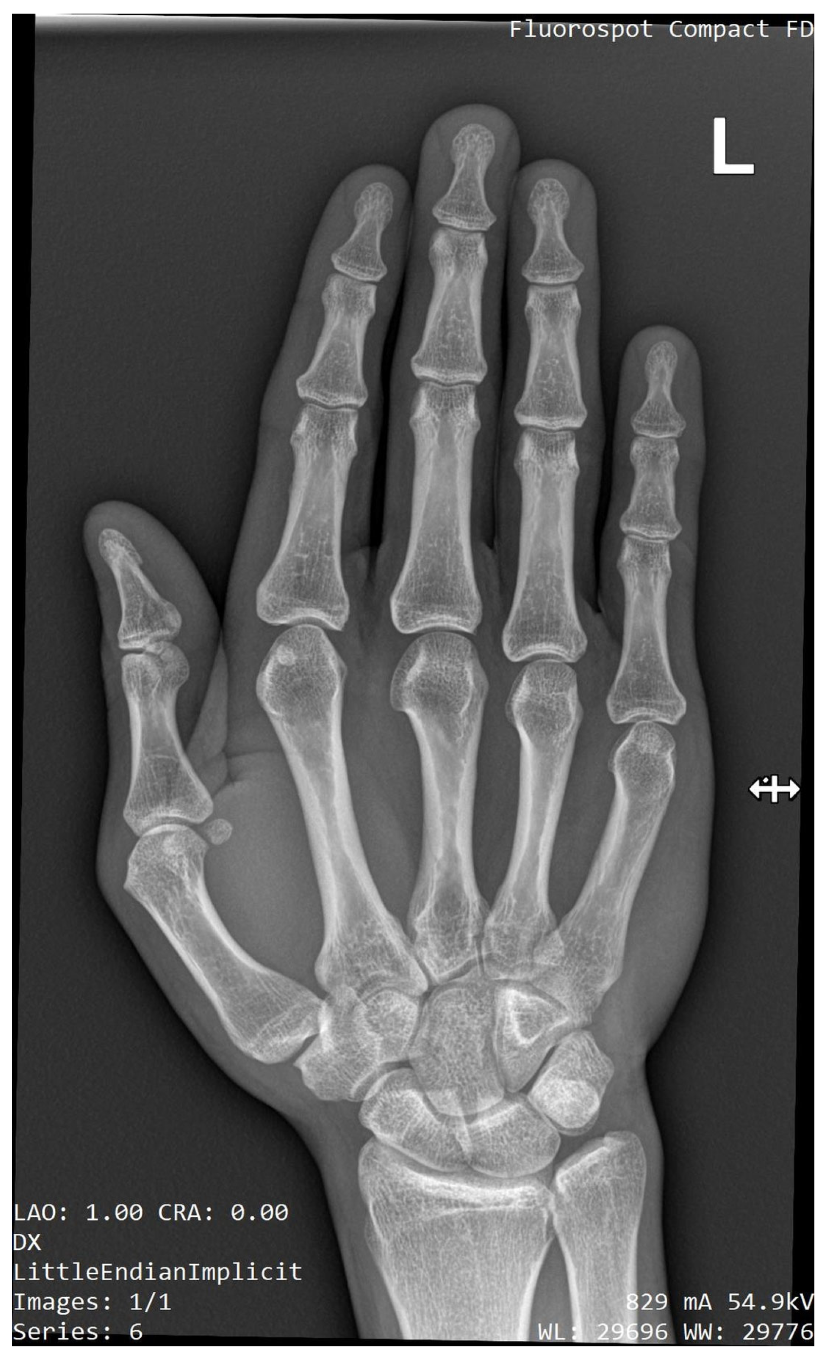 Medicina 59 00531 g005