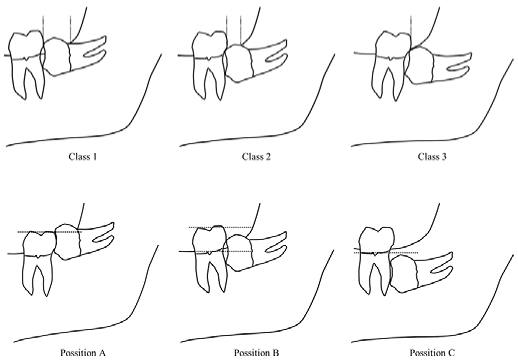 Medicina 59 00534 i001 Medicina 59 00534 i001