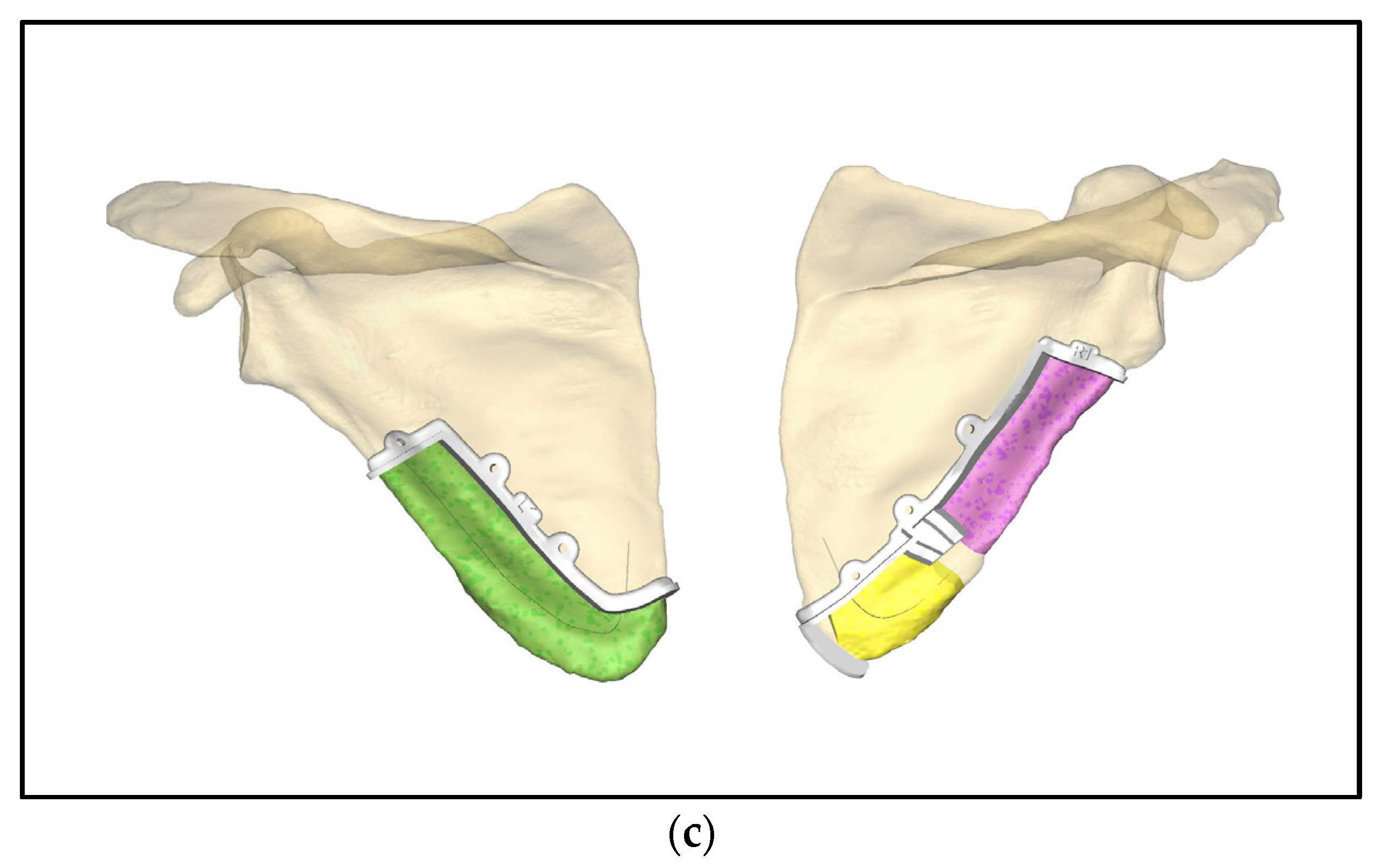 Medicina 59 00535 g003b