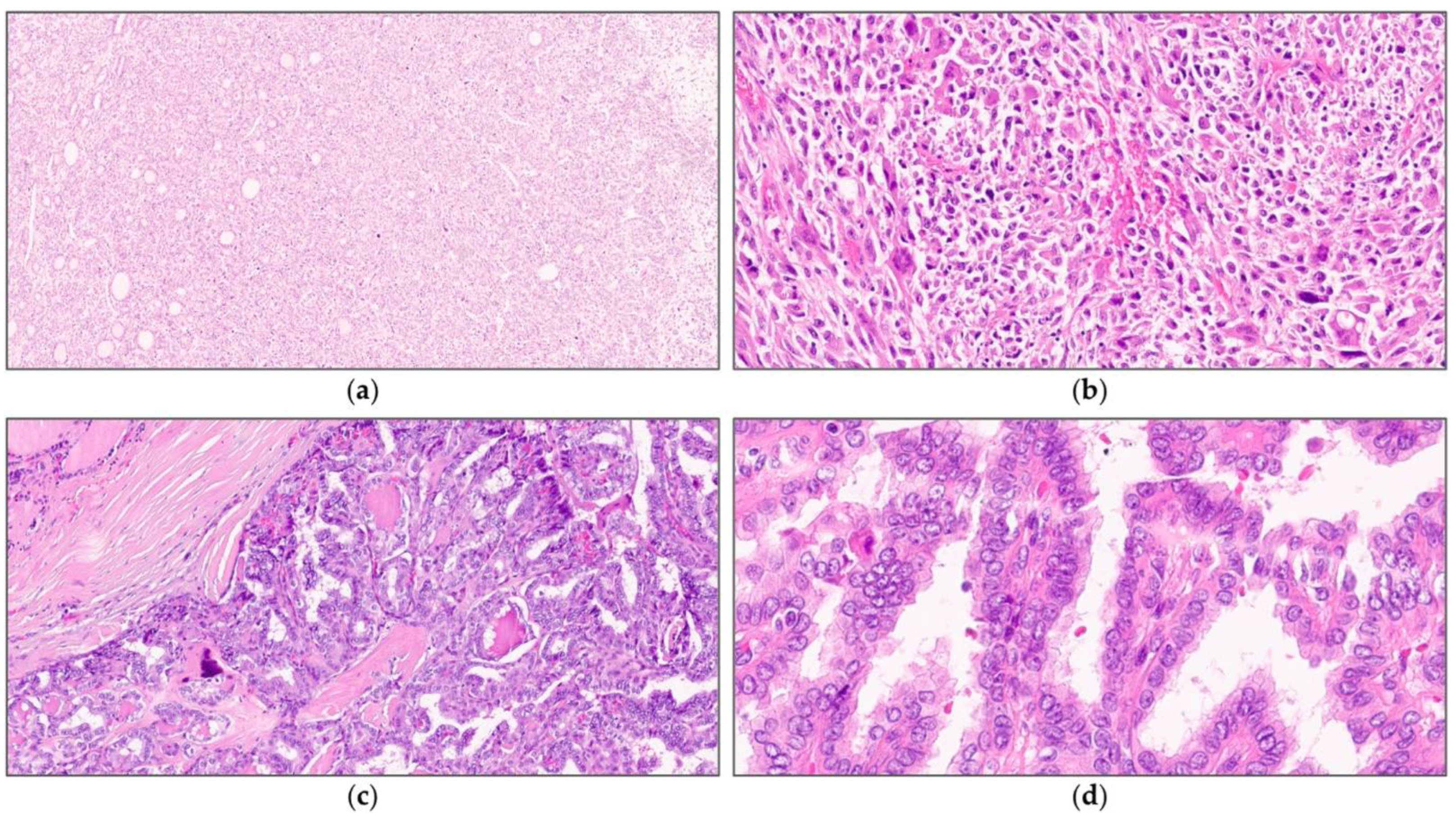 Medicina 59 00536 g001 Medicina 59 00536 g001