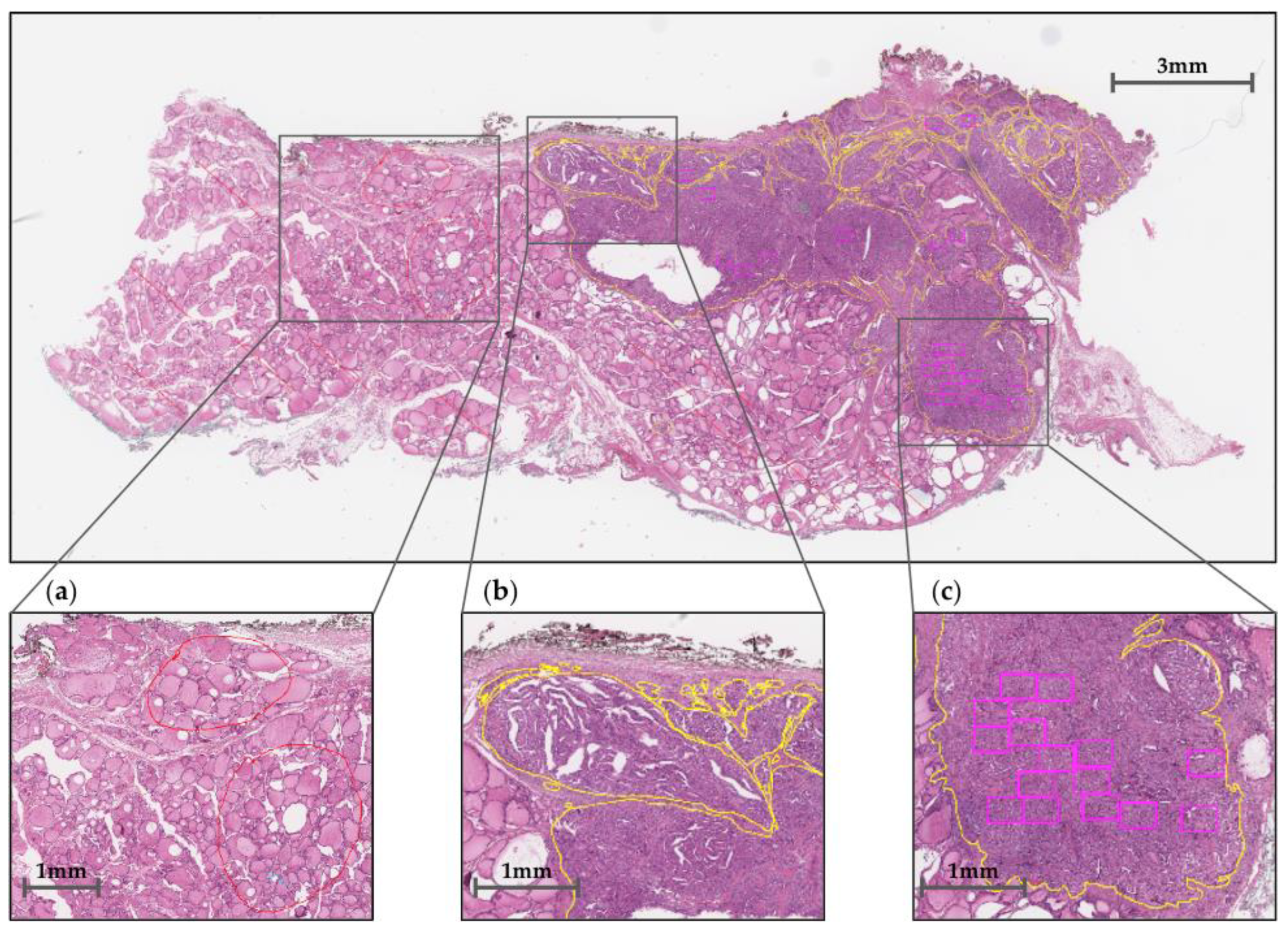 Medicina 59 00536 g002 Medicina 59 00536 g002