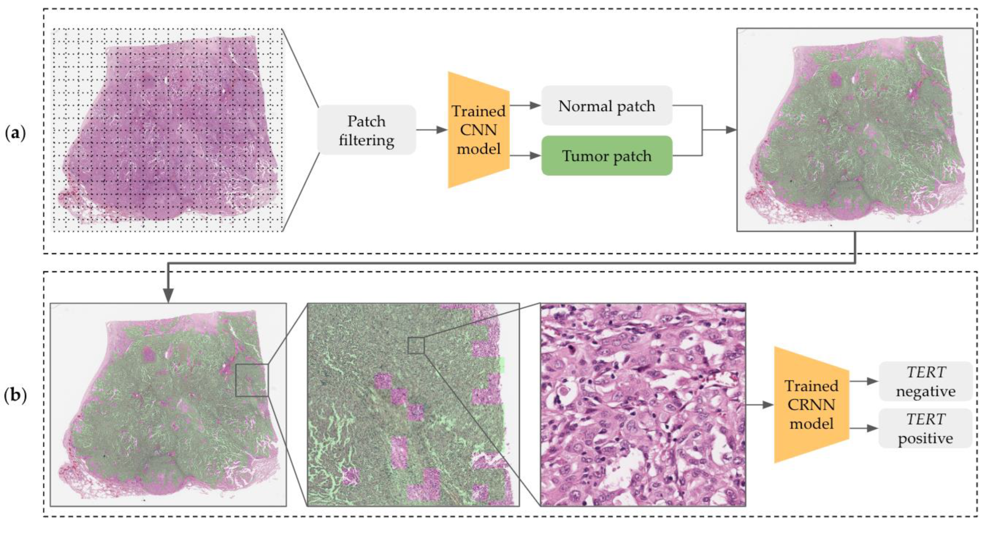 Medicina 59 00536 g003 Medicina 59 00536 g003