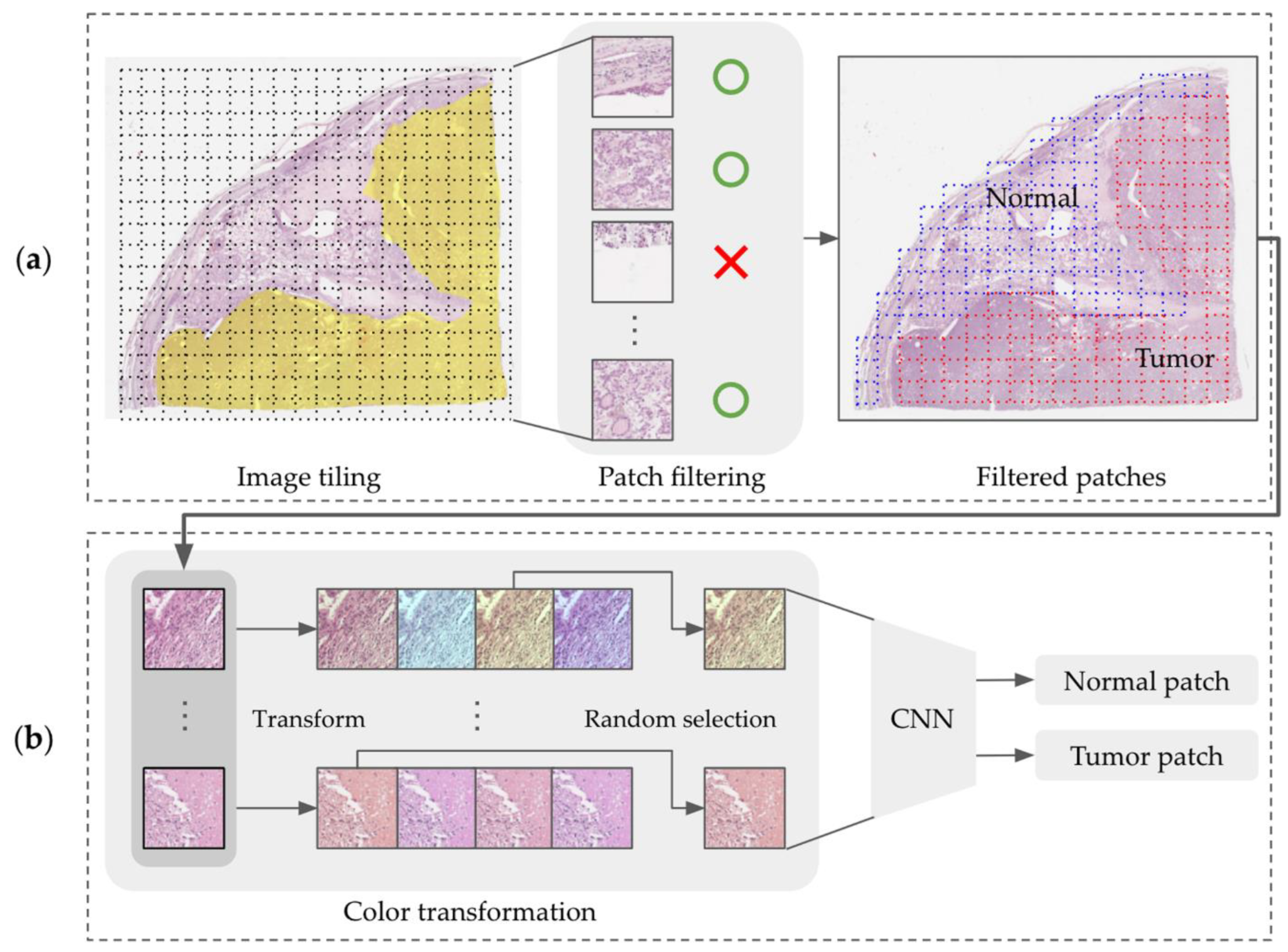 Medicina 59 00536 g005 Medicina 59 00536 g005