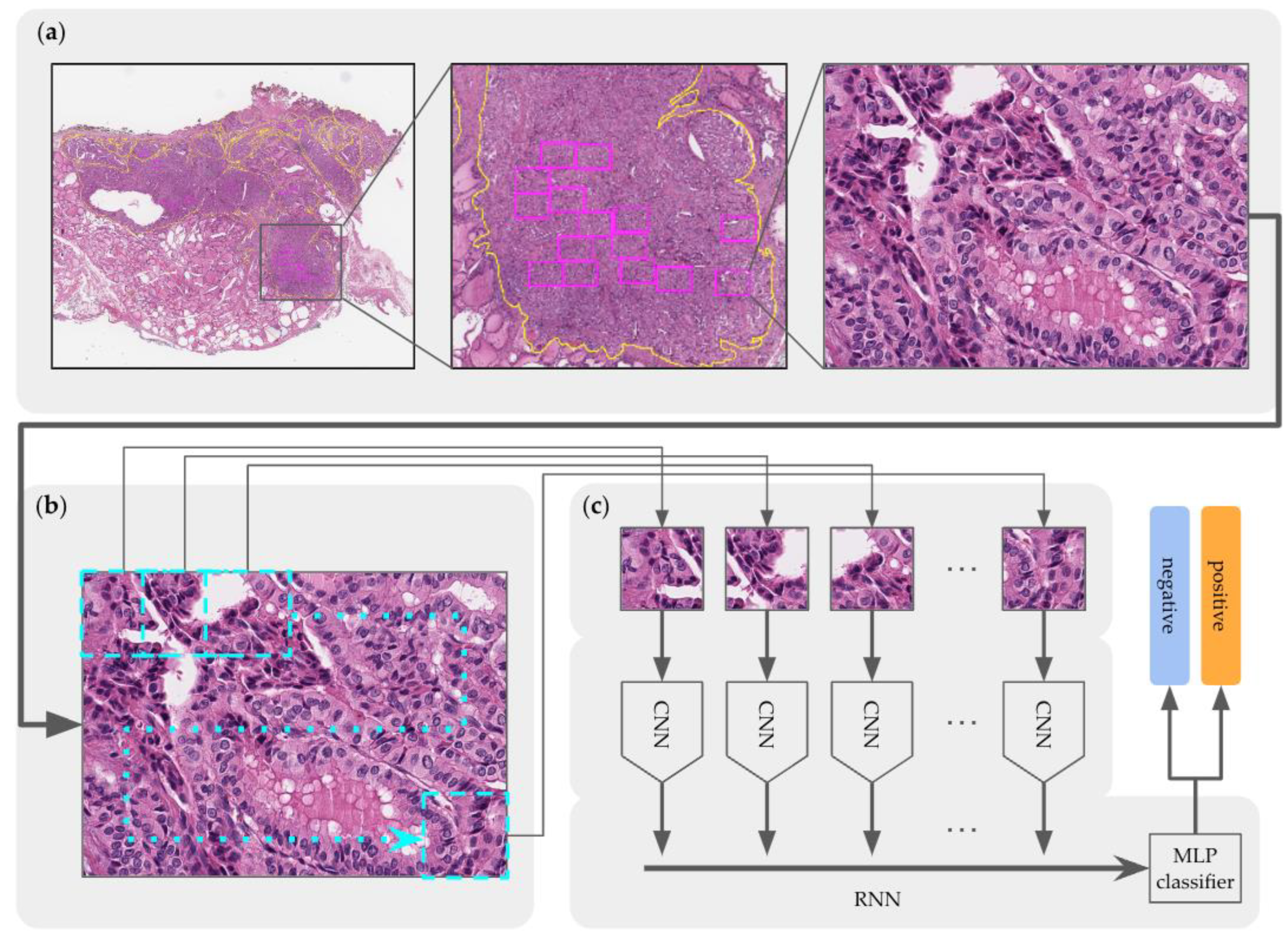 Medicina 59 00536 g006 Medicina 59 00536 g006