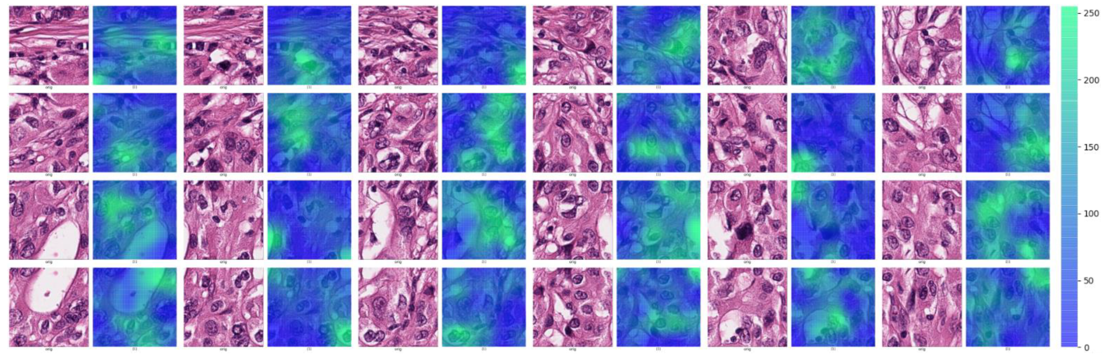 Medicina 59 00536 g008 Medicina 59 00536 g008