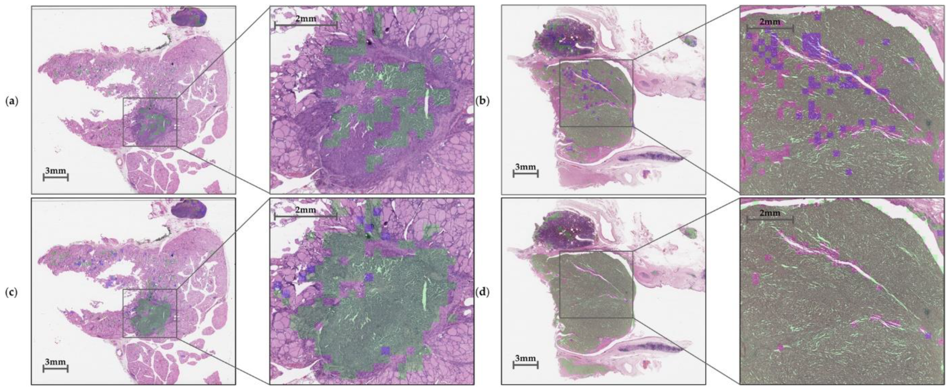 Medicina 59 00536 g009 Medicina 59 00536 g009