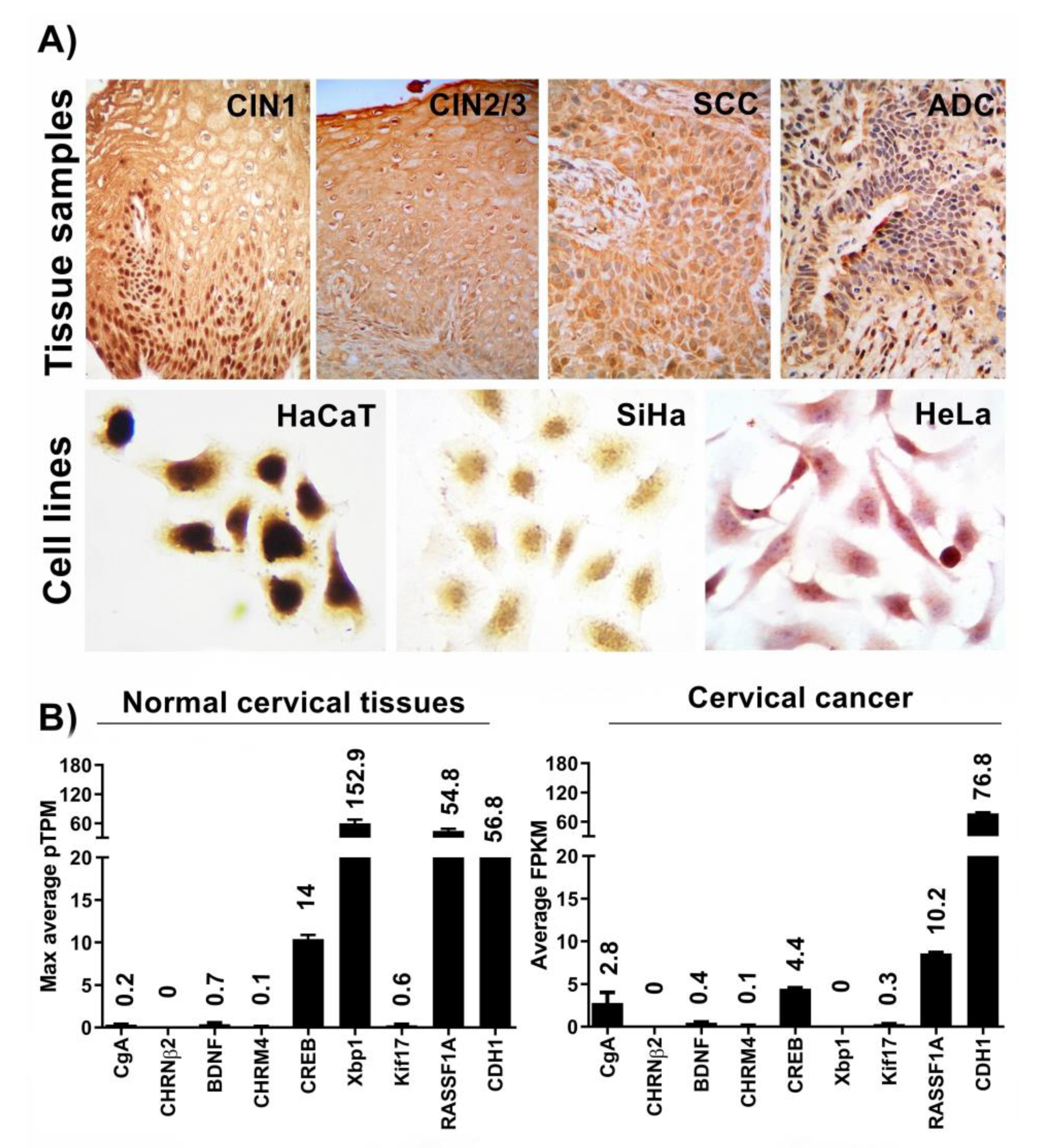 Medicina 59 00537 g001