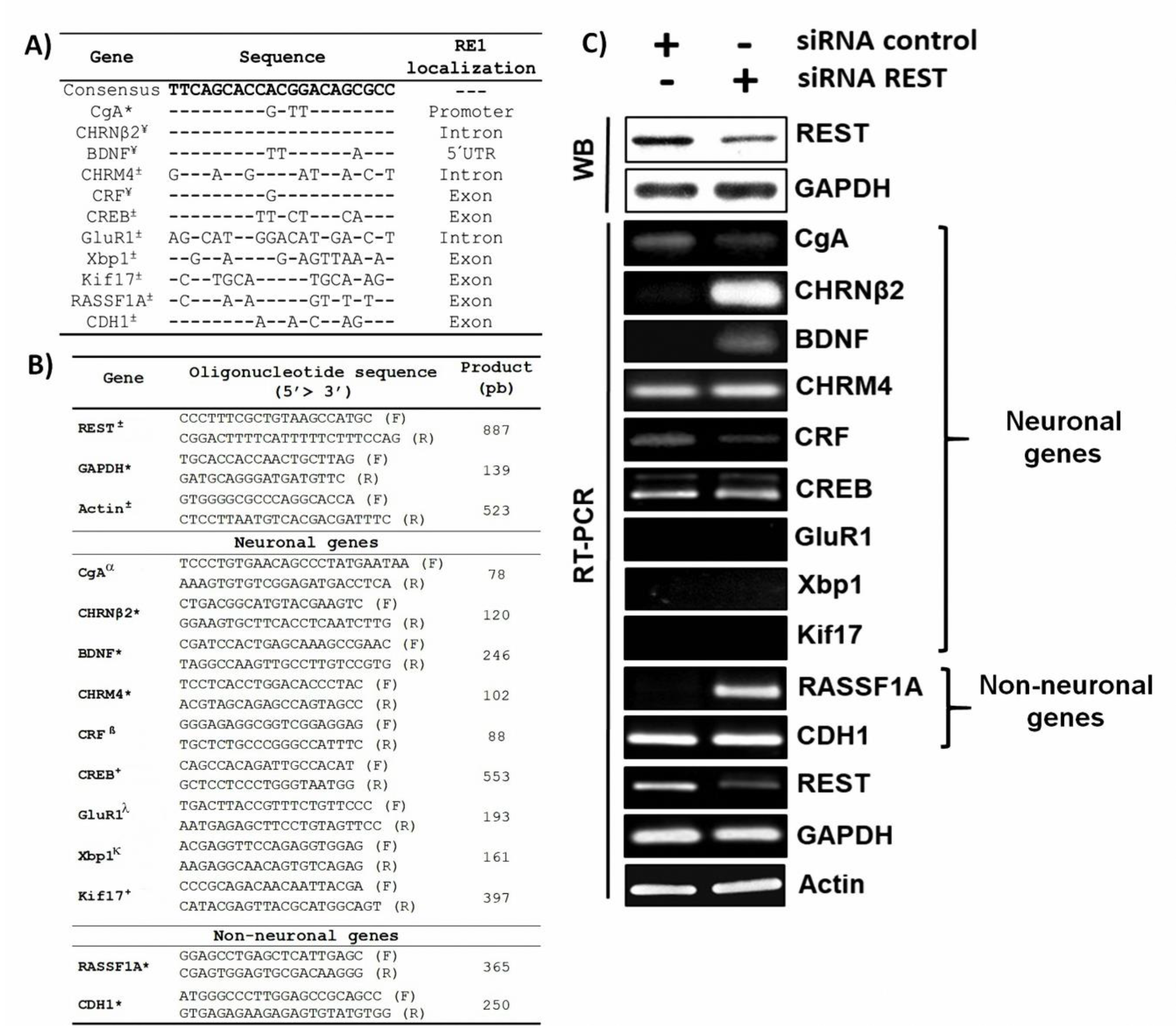 Medicina 59 00537 g002