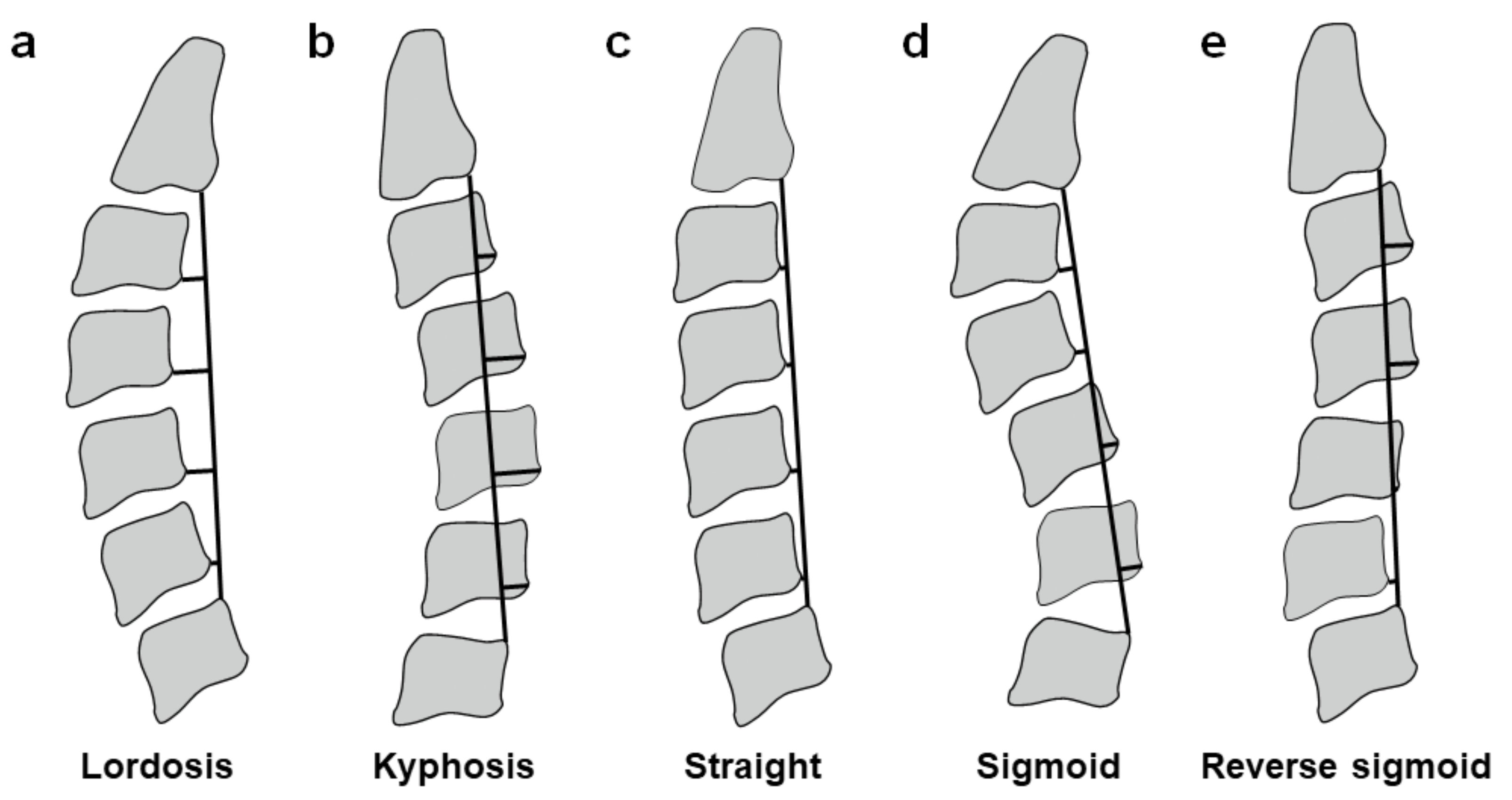Medicina 59 00539 g001 Medicina 59 00539 g001