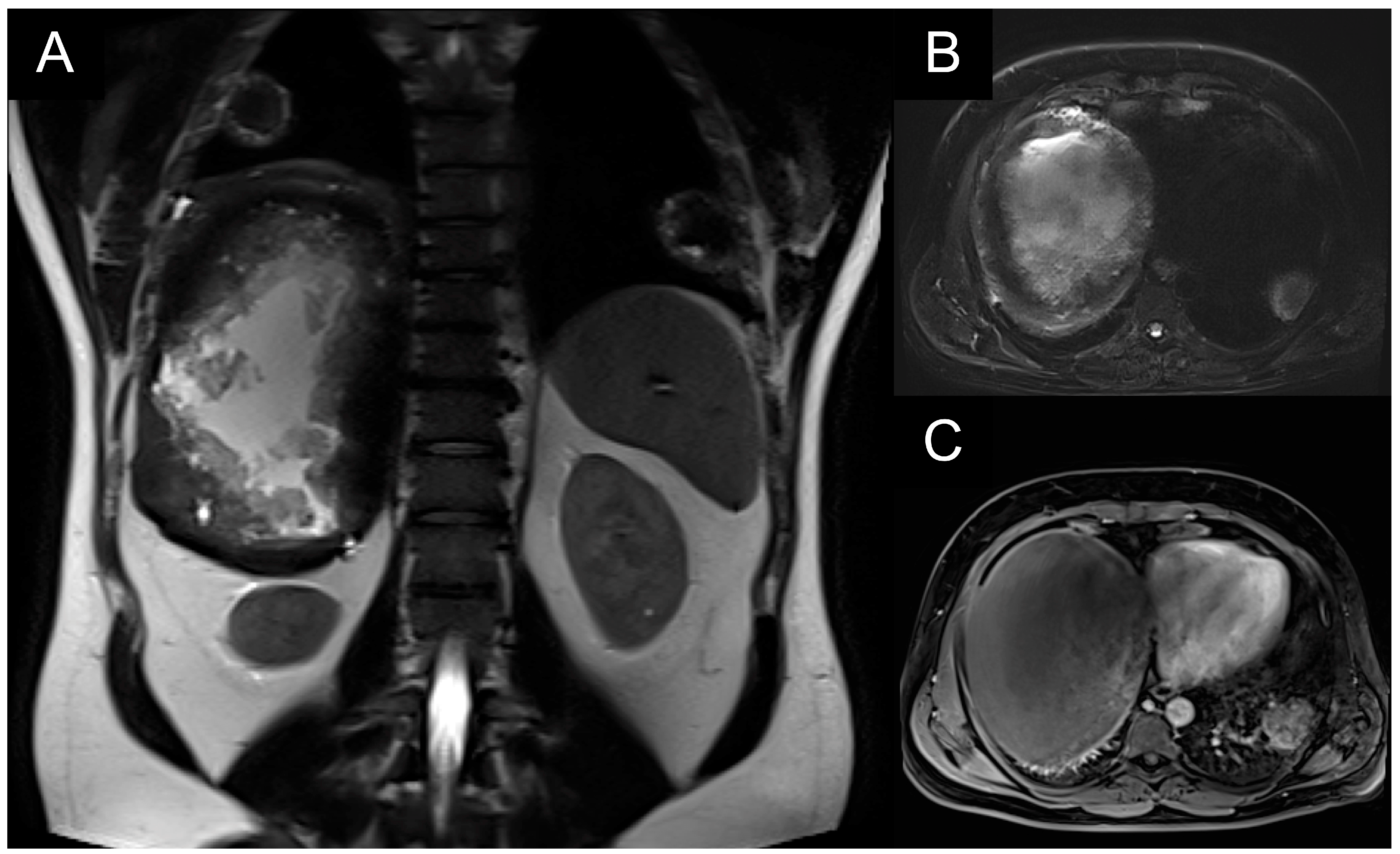 Medicina 59 00543 g001