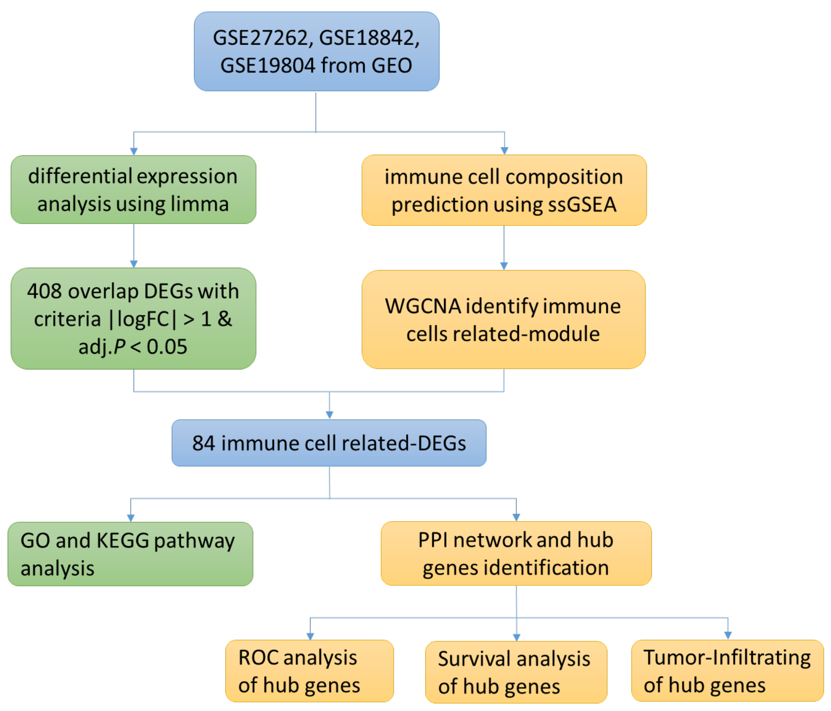 Medicina 59 00547 g001 Medicina 59 00547 g001