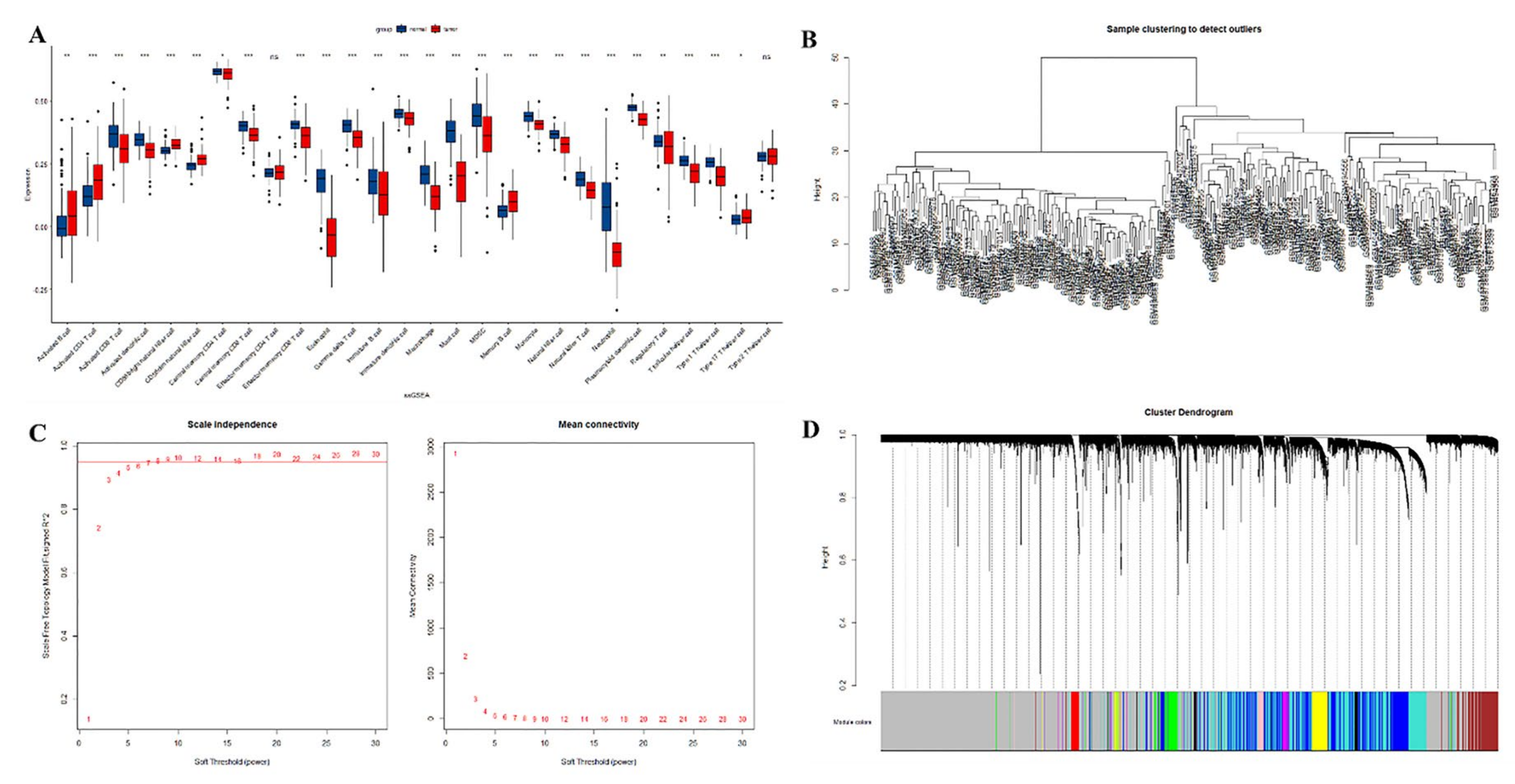Medicina 59 00547 g003 Medicina 59 00547 g003