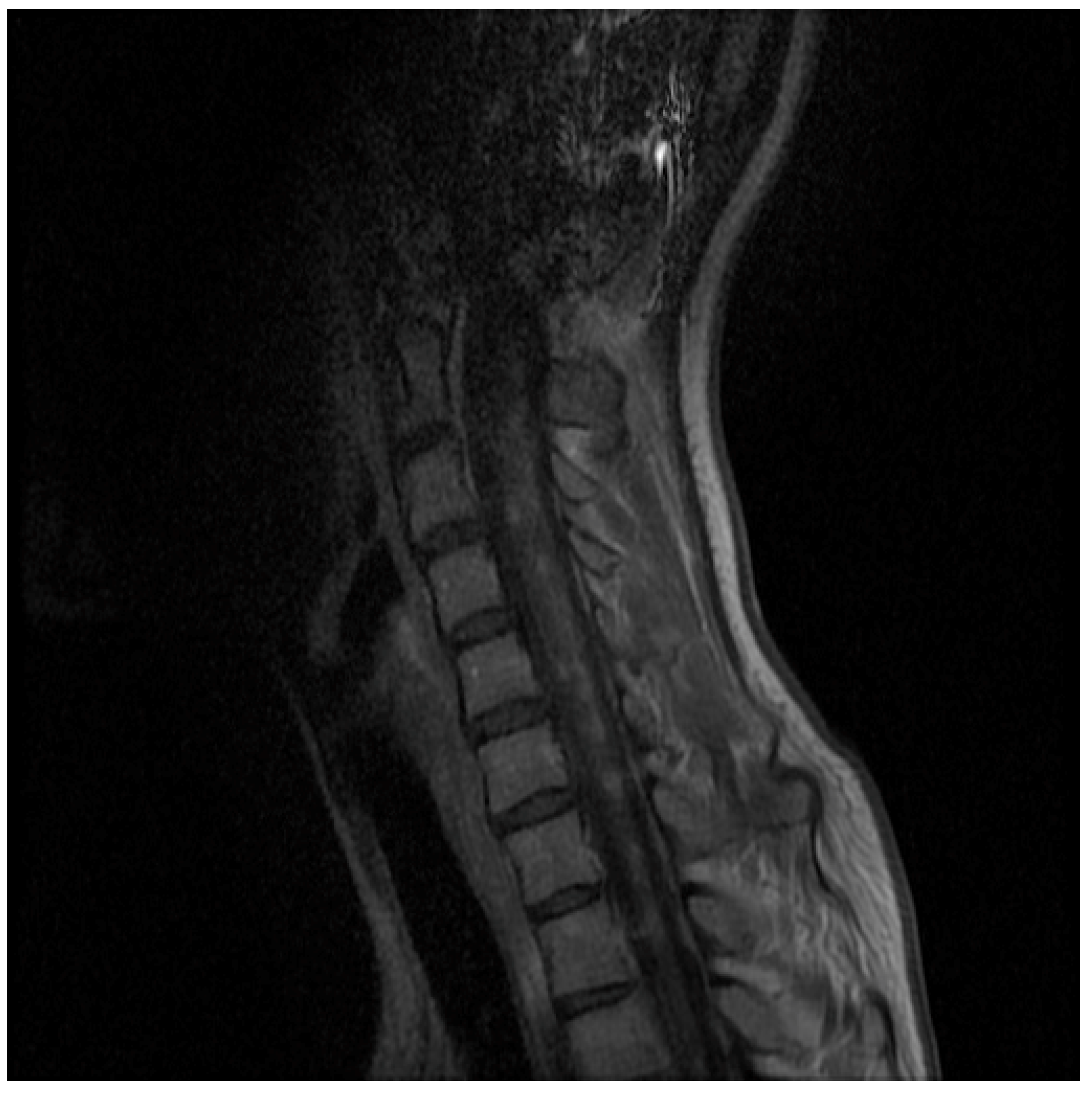 Medicina 59 00549 g002 Medicina 59 00549 g002