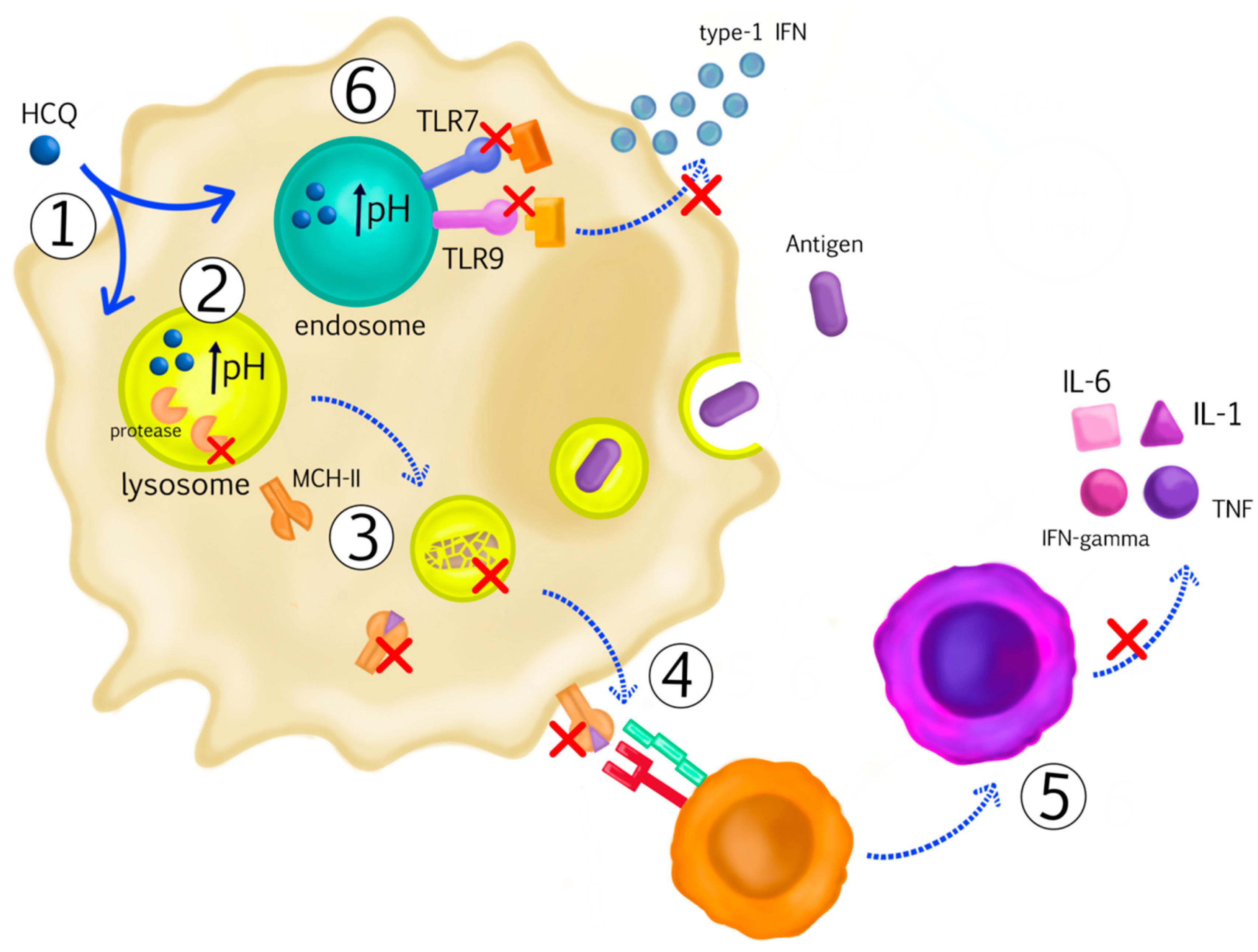 Medicina 59 00551 g004