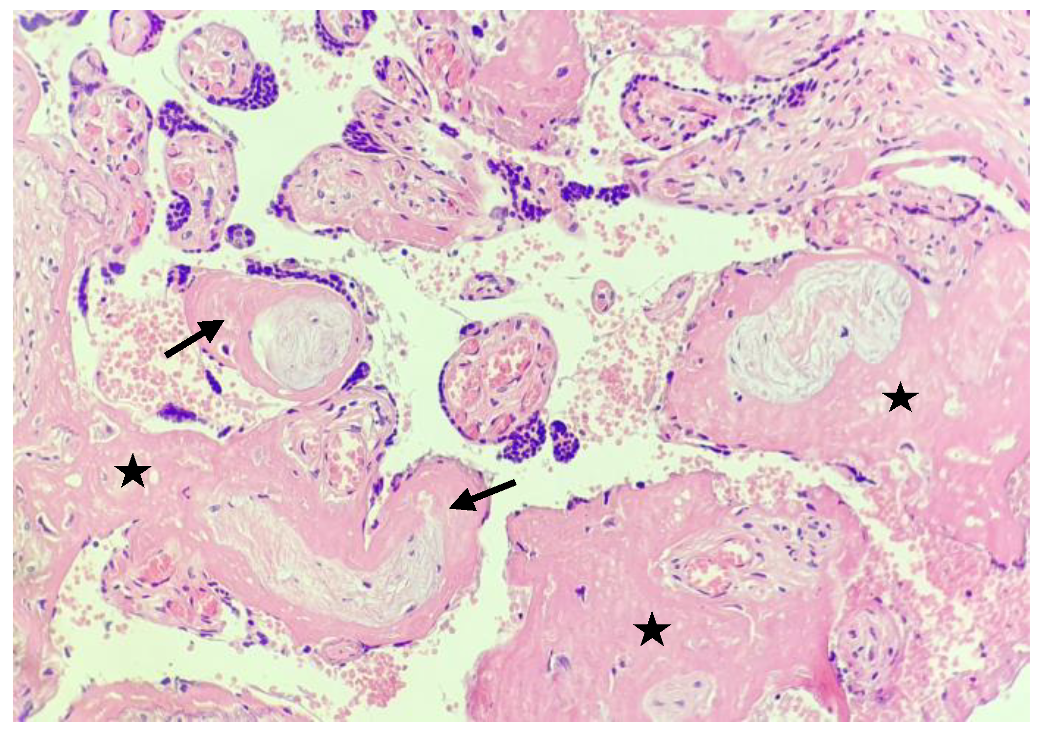 Medicina 59 00552 g003