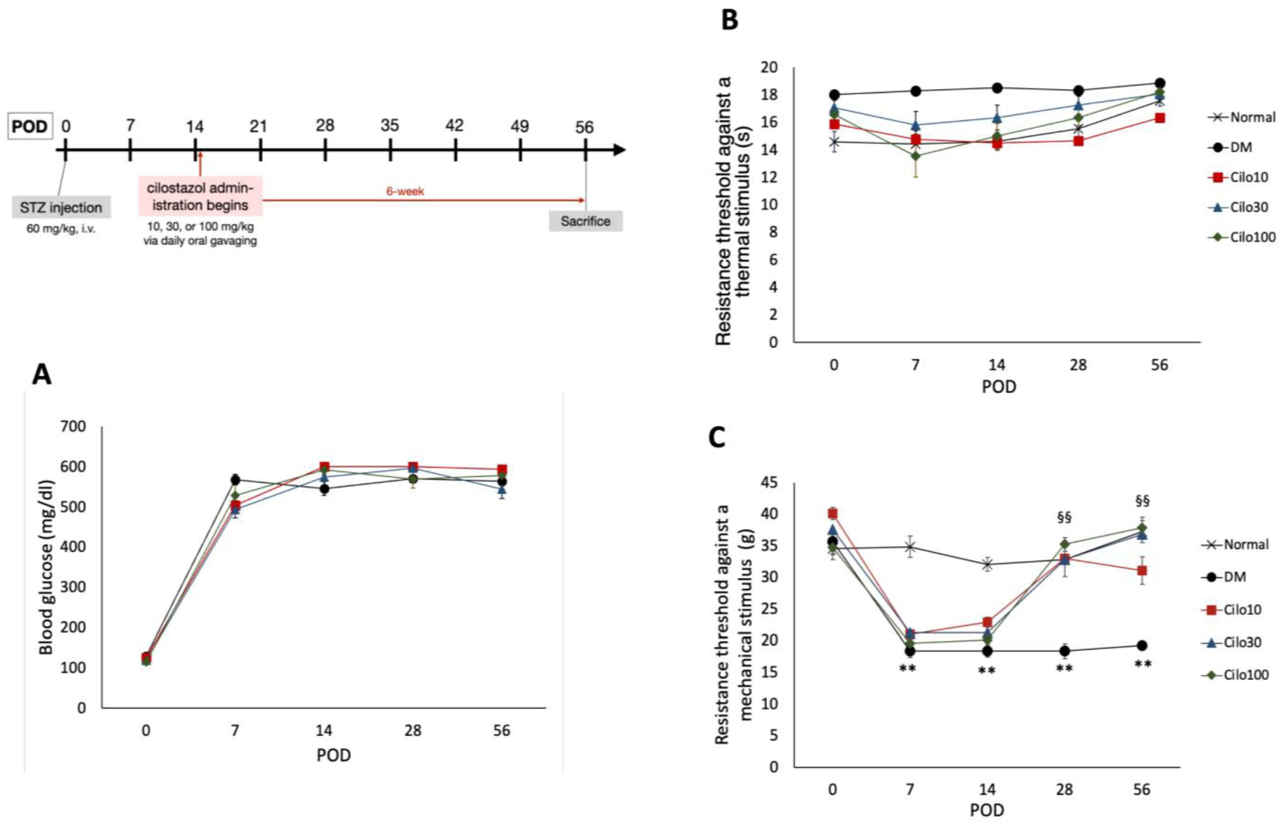 Medicina 59 00553 g001