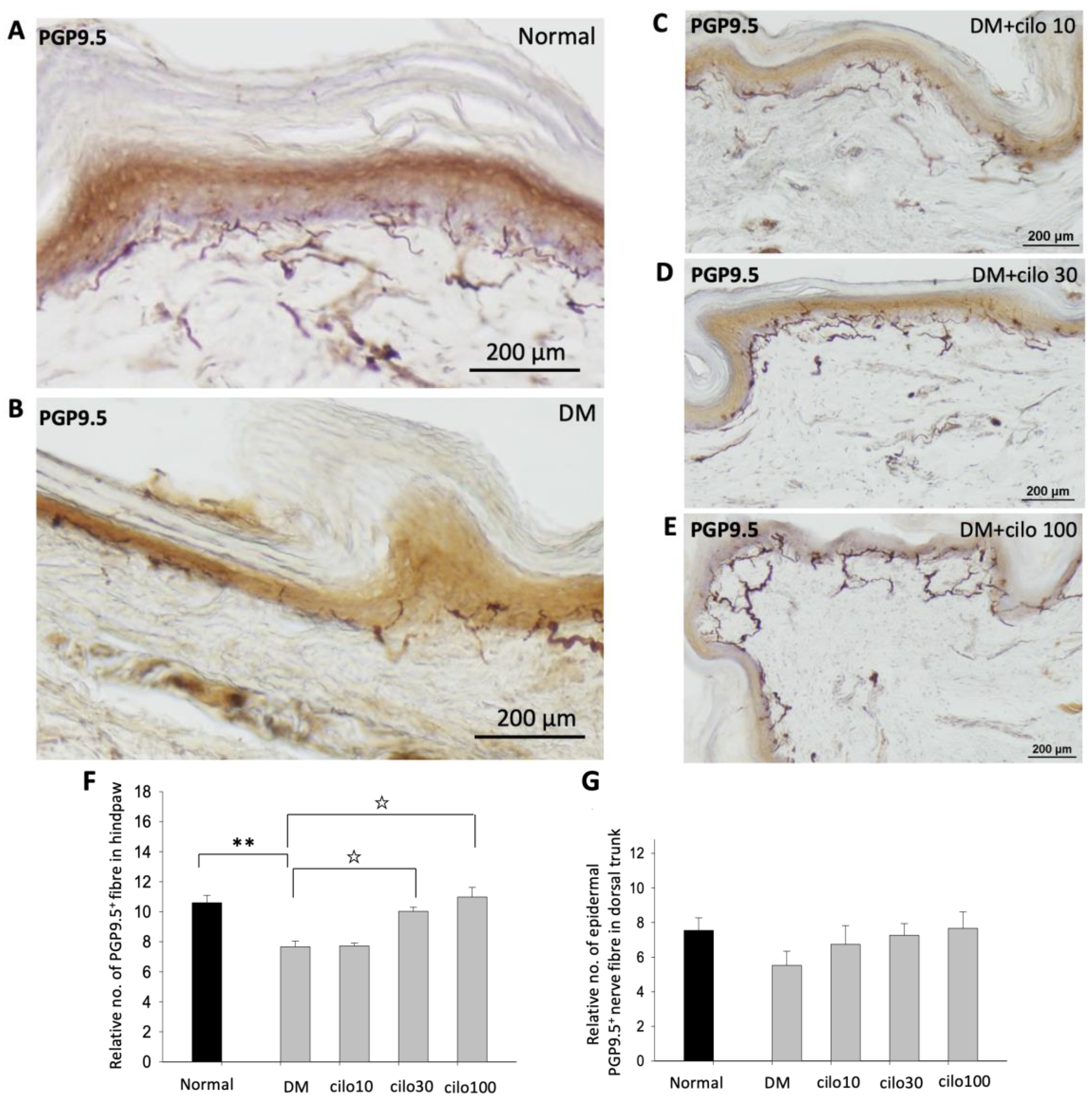 Medicina 59 00553 g002a