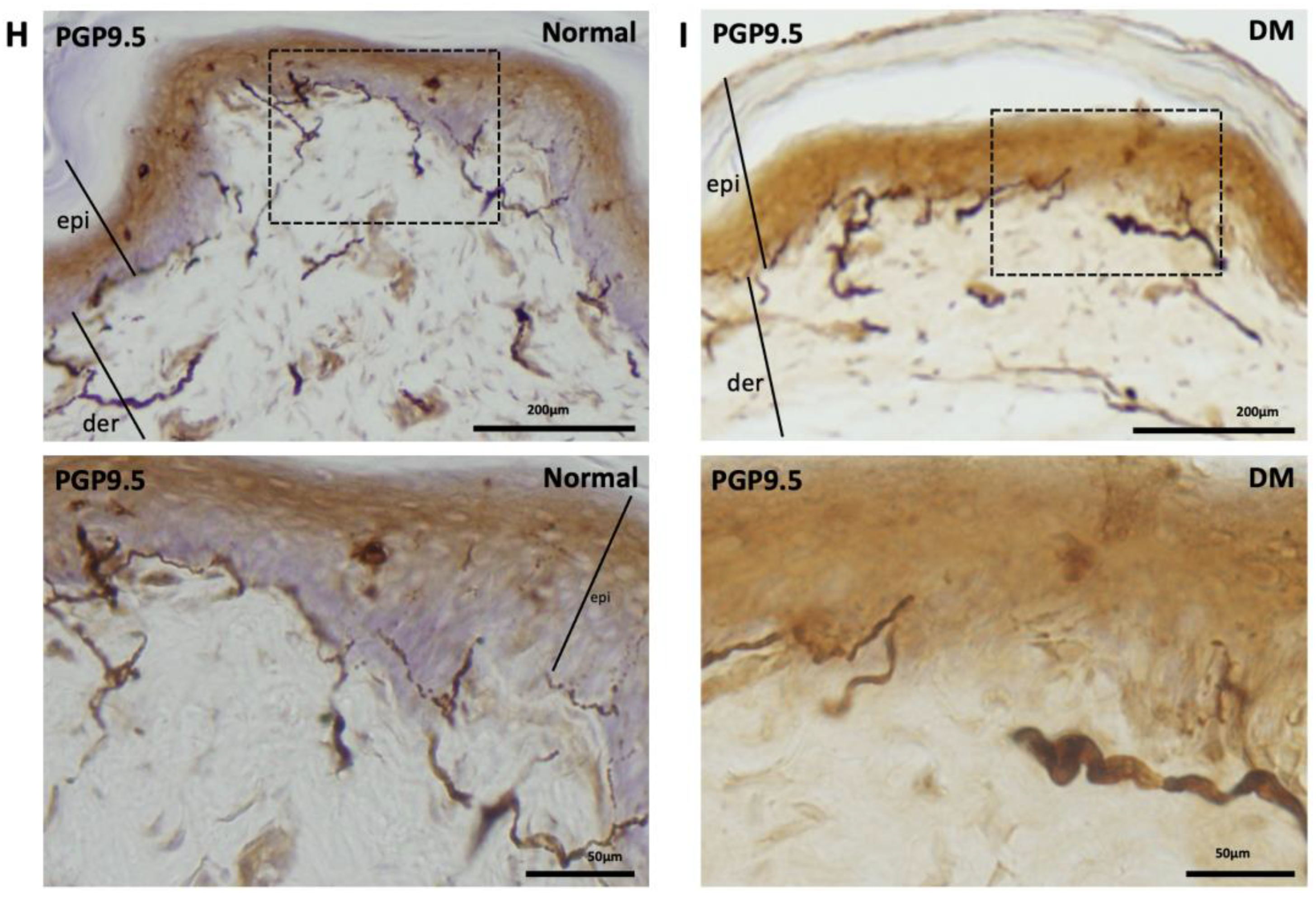 Medicina 59 00553 g002b