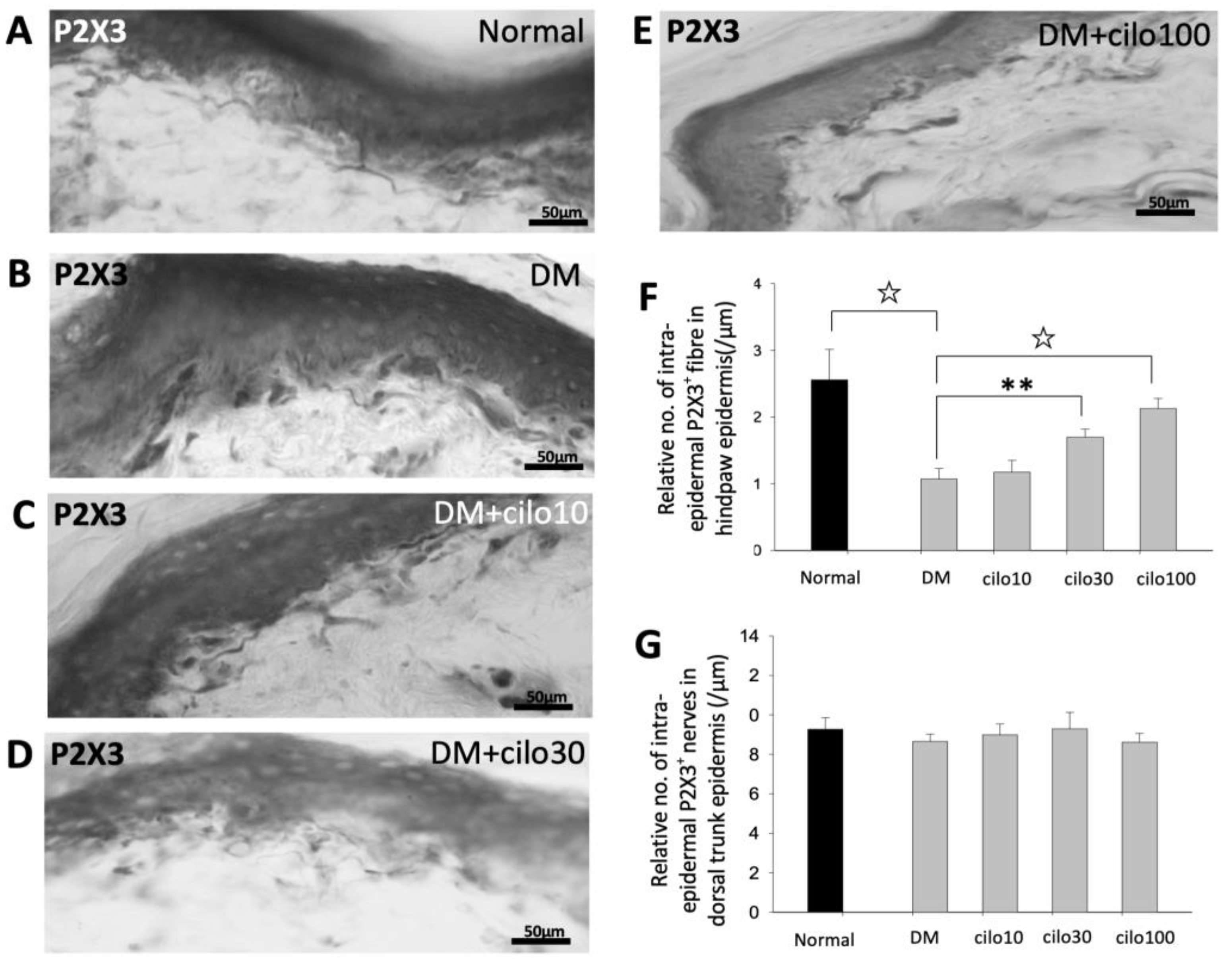 Medicina 59 00553 g003