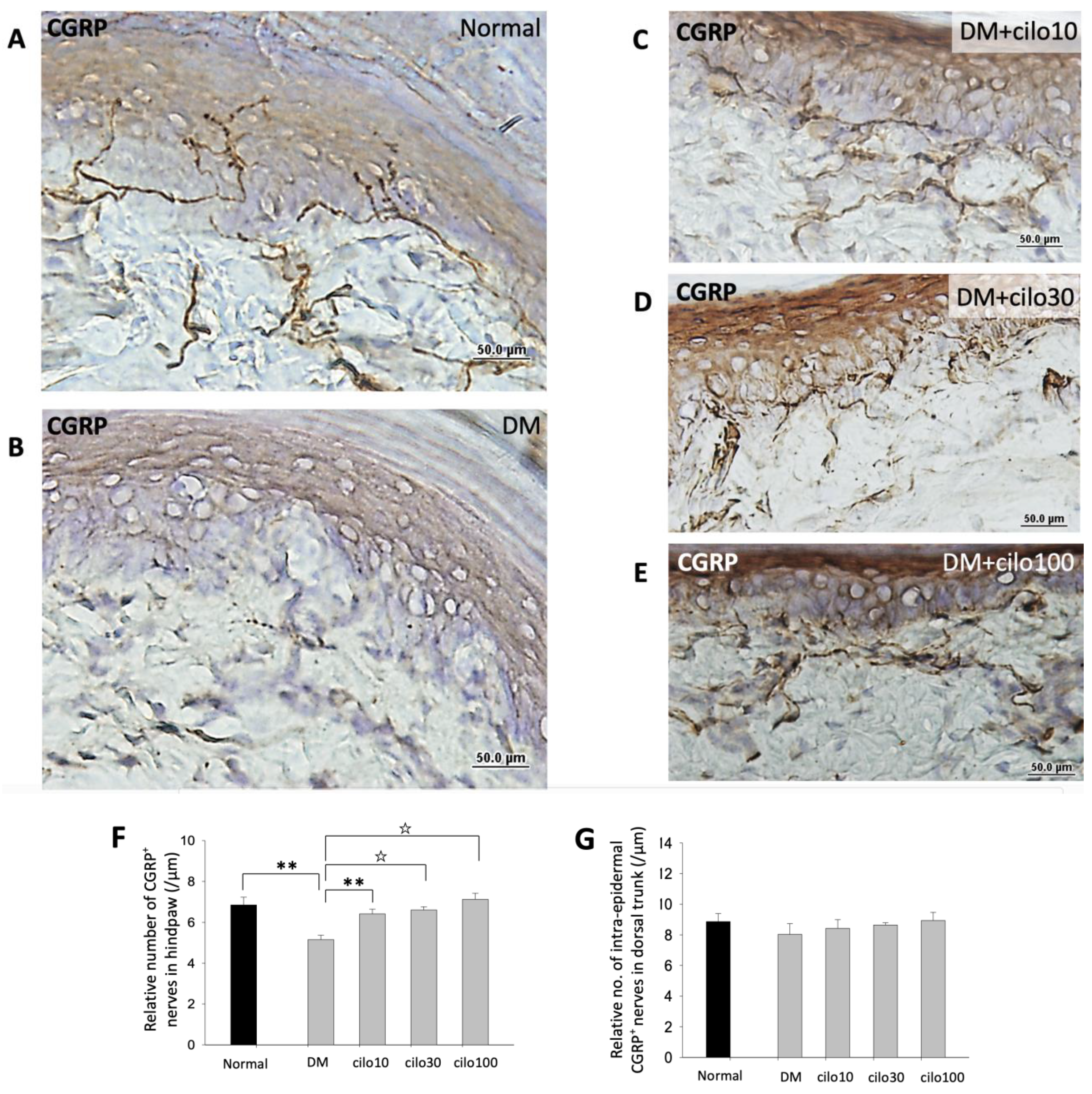 Medicina 59 00553 g004