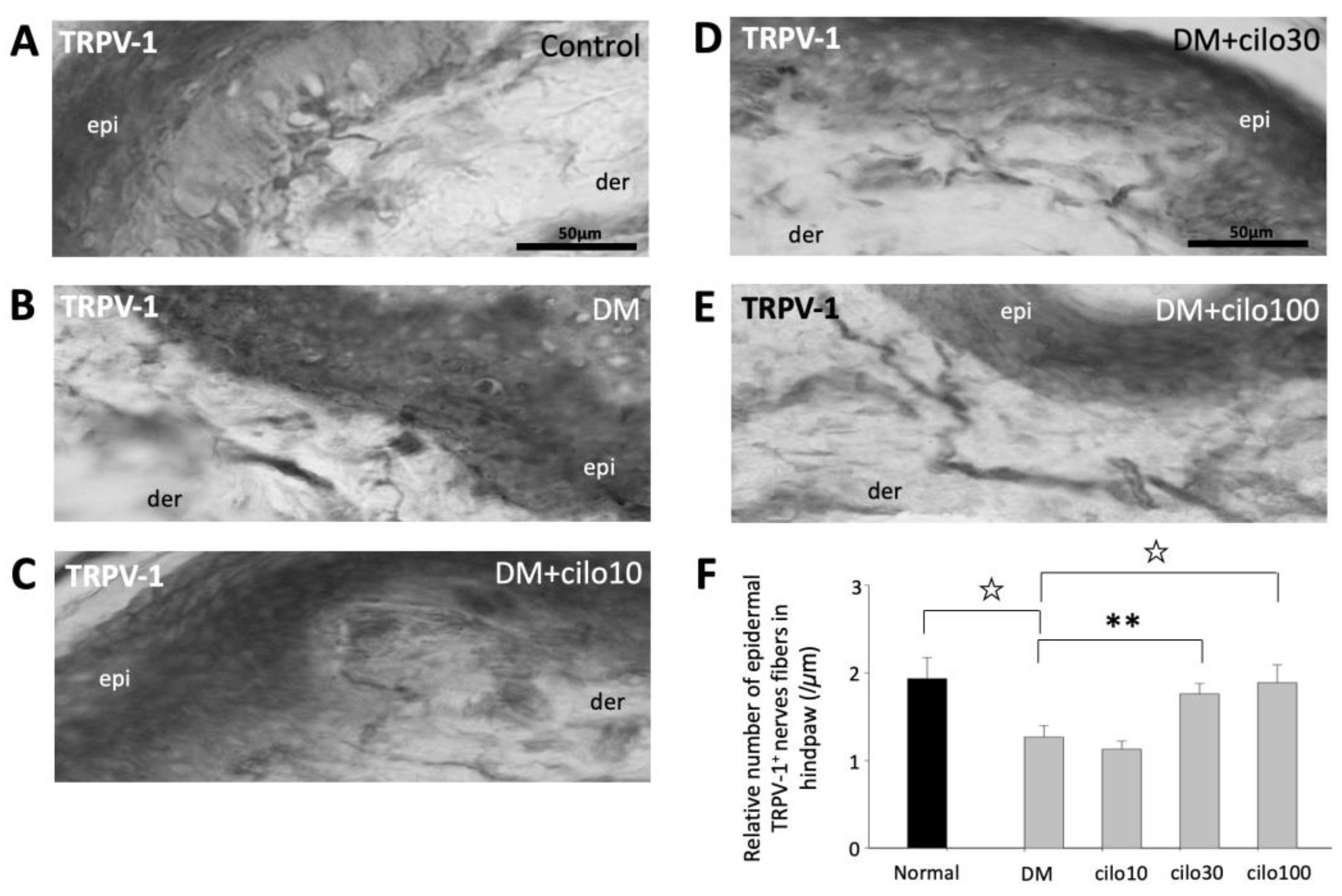 Medicina 59 00553 g005