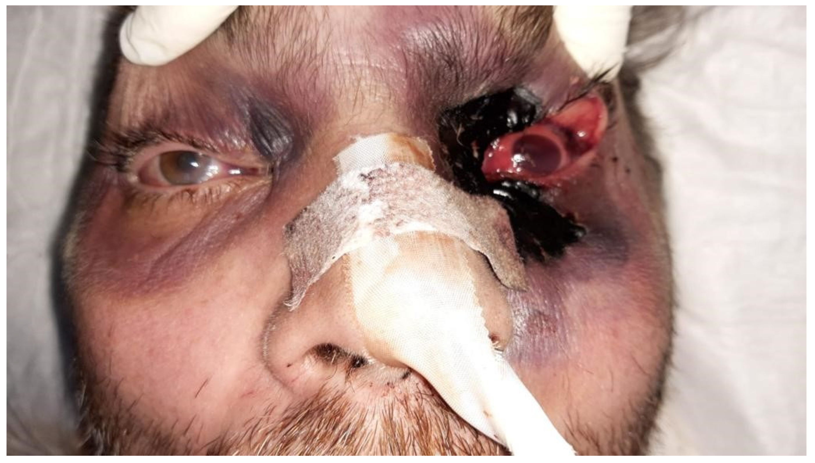 Medicina 59 00555 g003 550