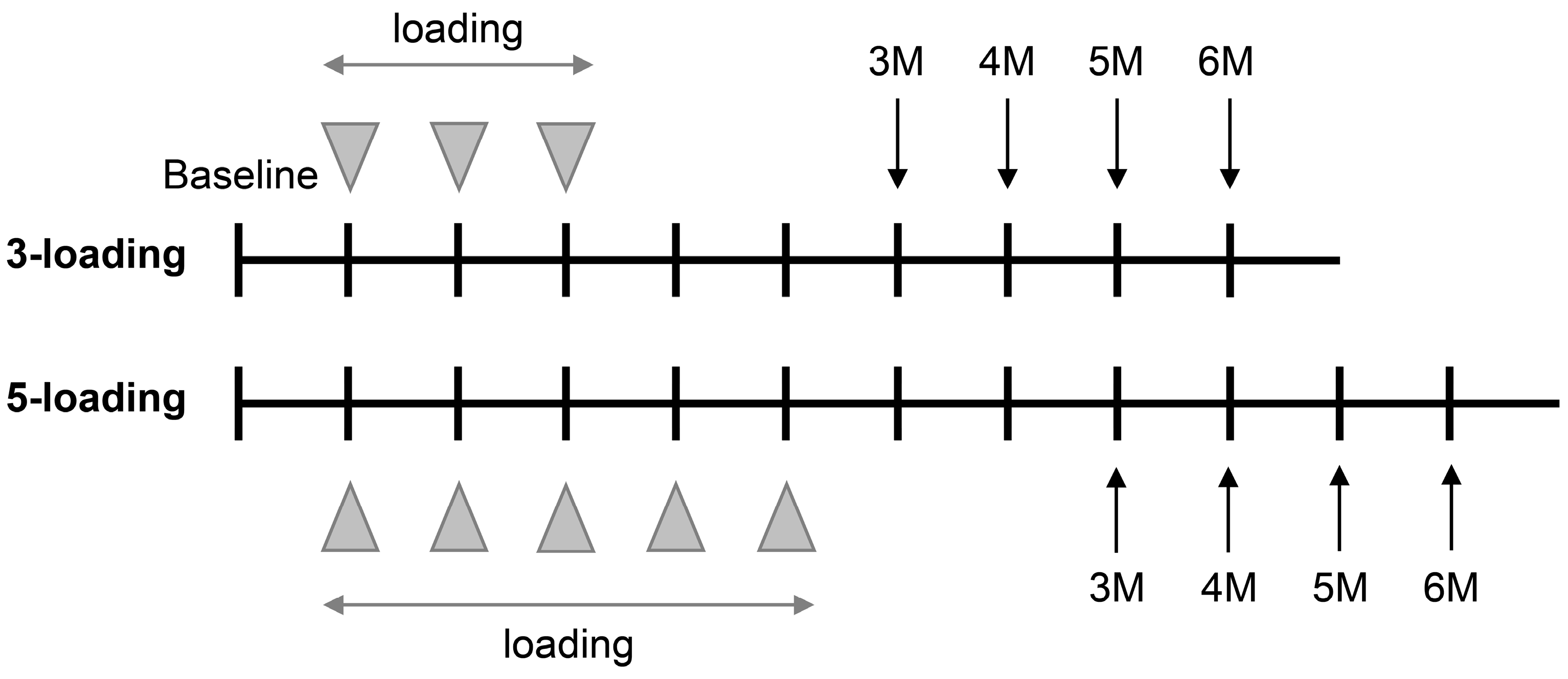 Medicina 59 00558 g001