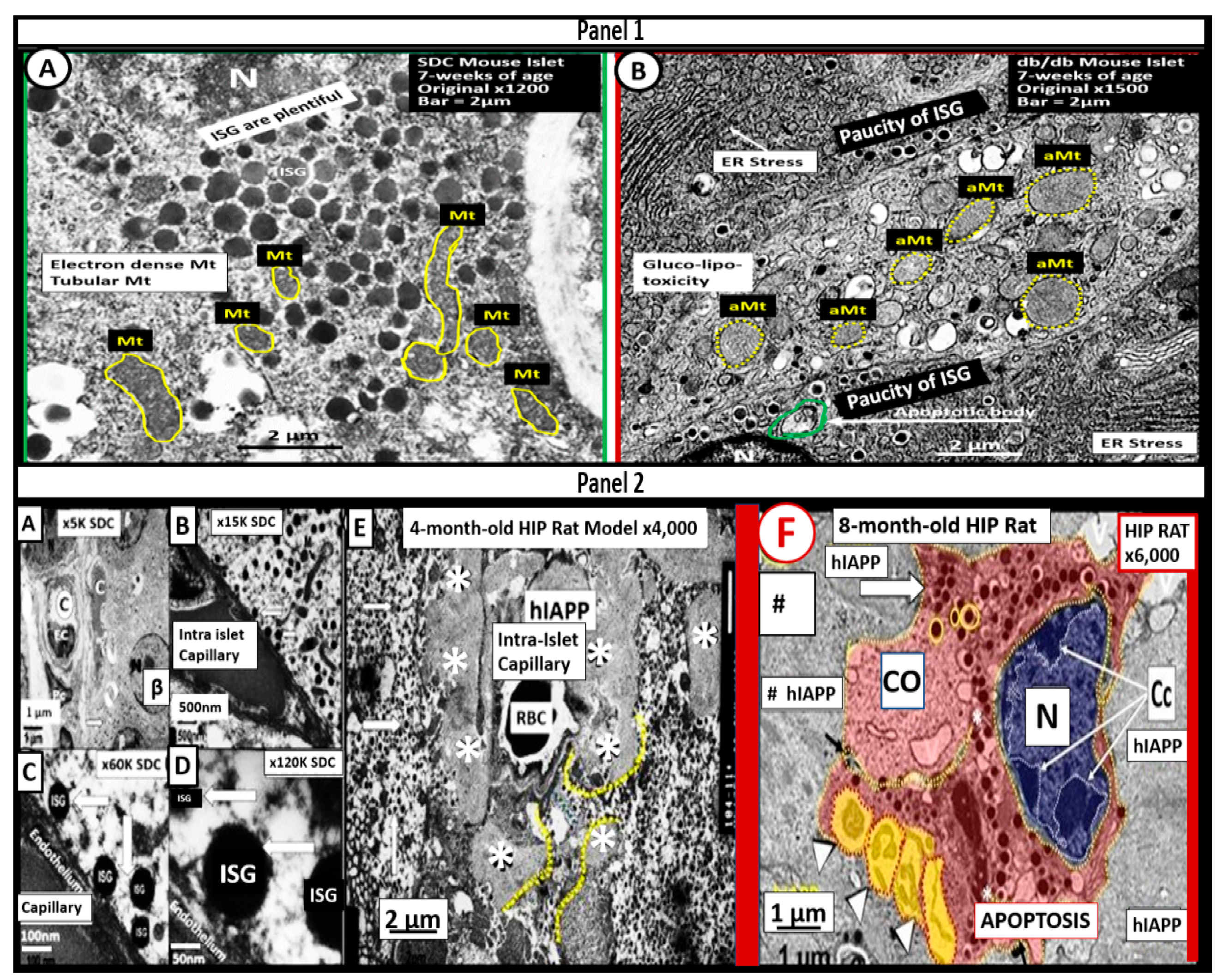 Medicina 59 00561 g005 Medicina 59 00561 g005