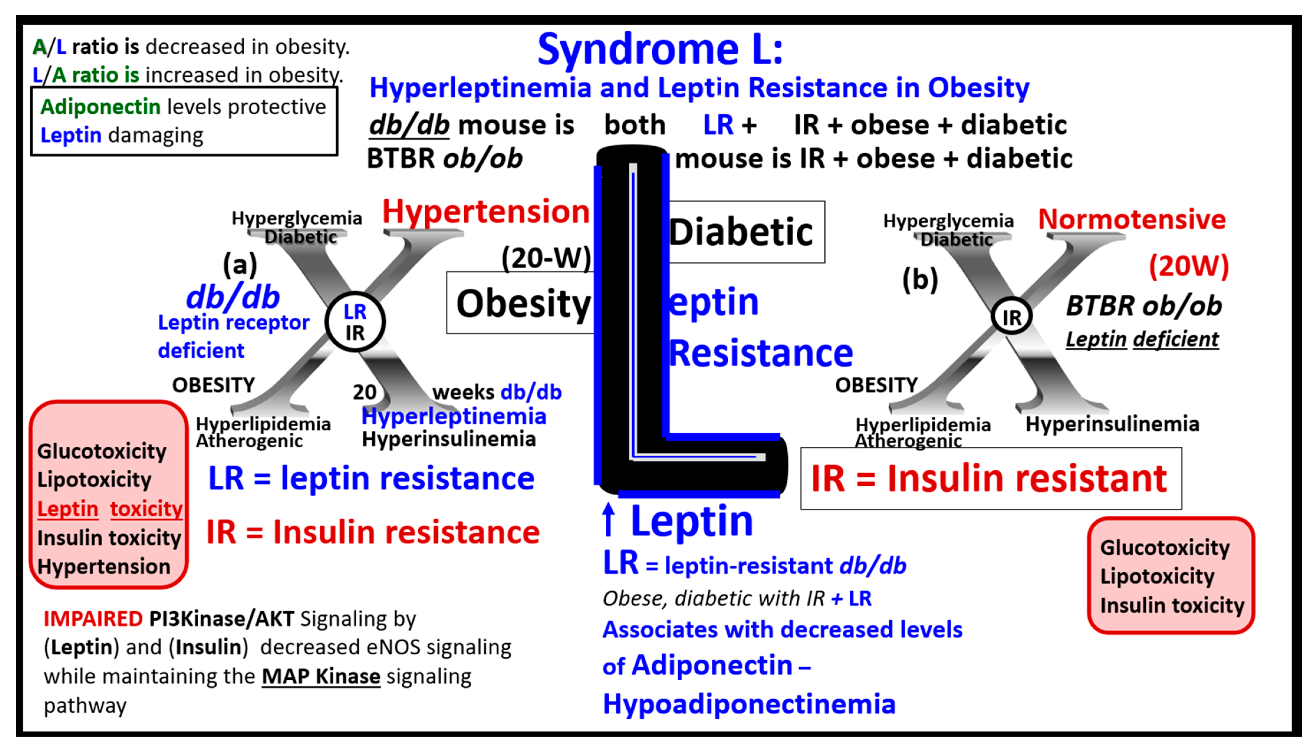 Medicina 59 00561 g008 Medicina 59 00561 g008