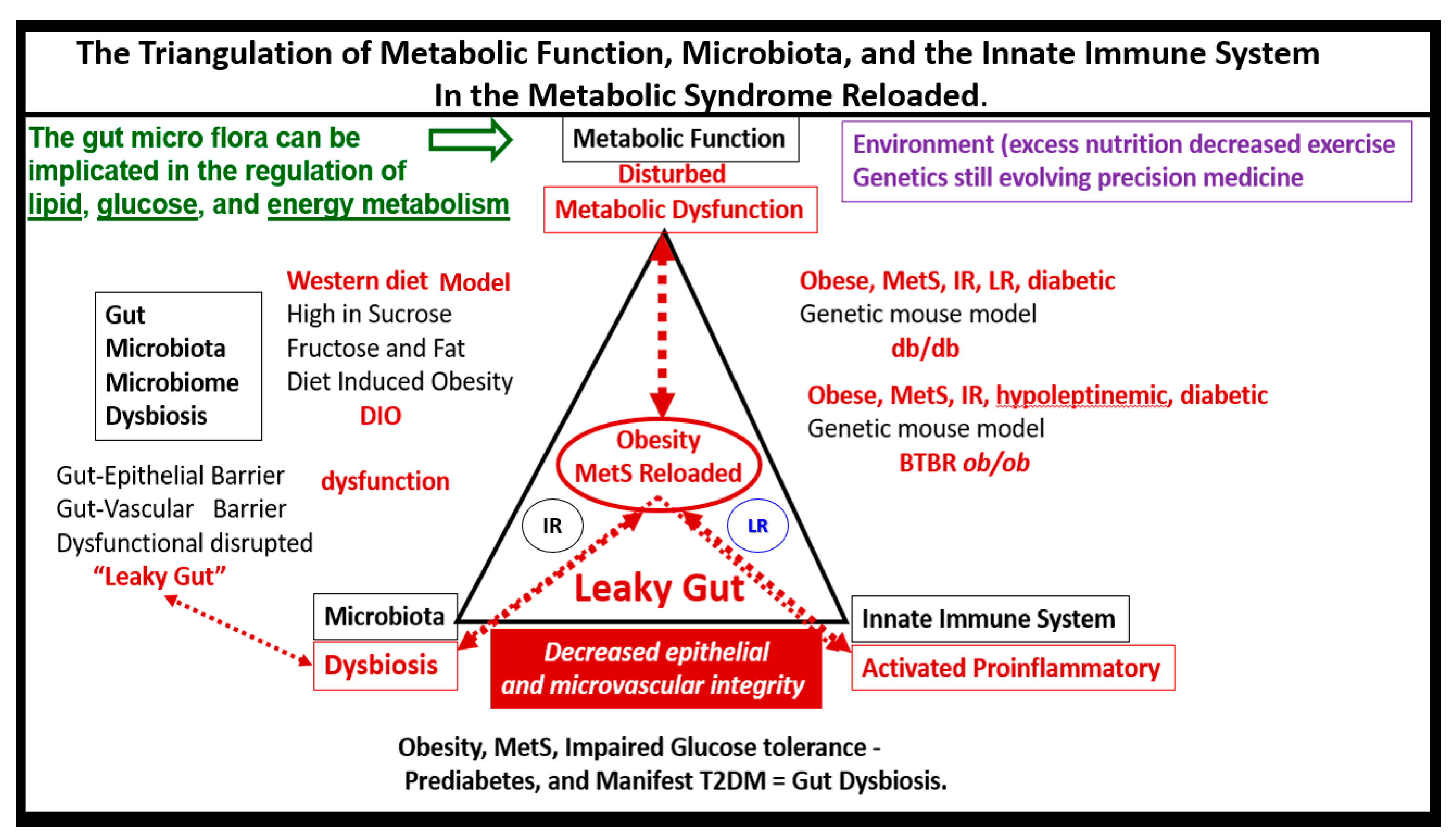 Medicina 59 00561 g018 Medicina 59 00561 g018