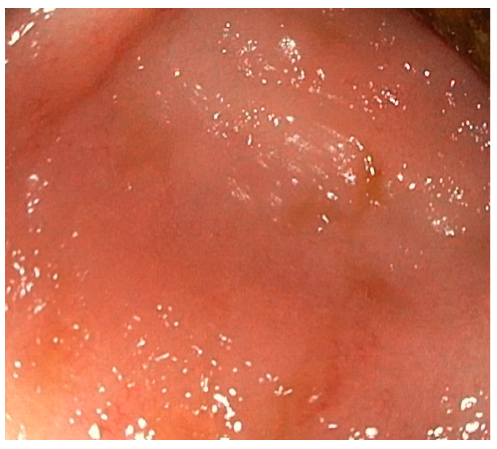 Medicina 59 00576 g003 550