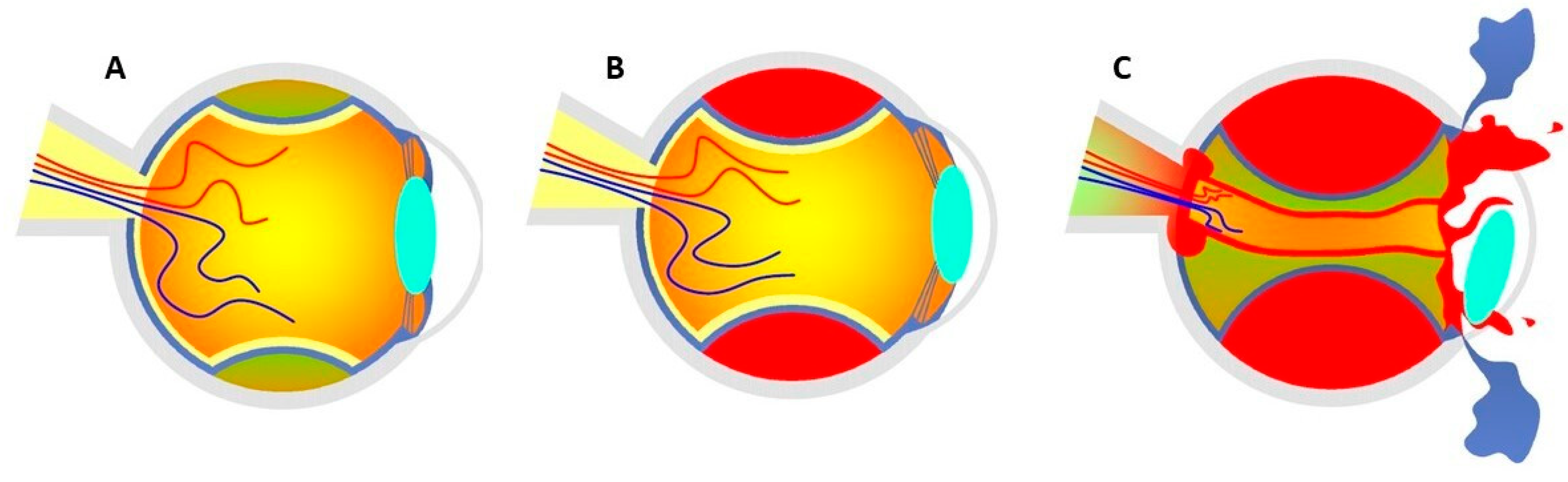 Medicina 59 00583 g001