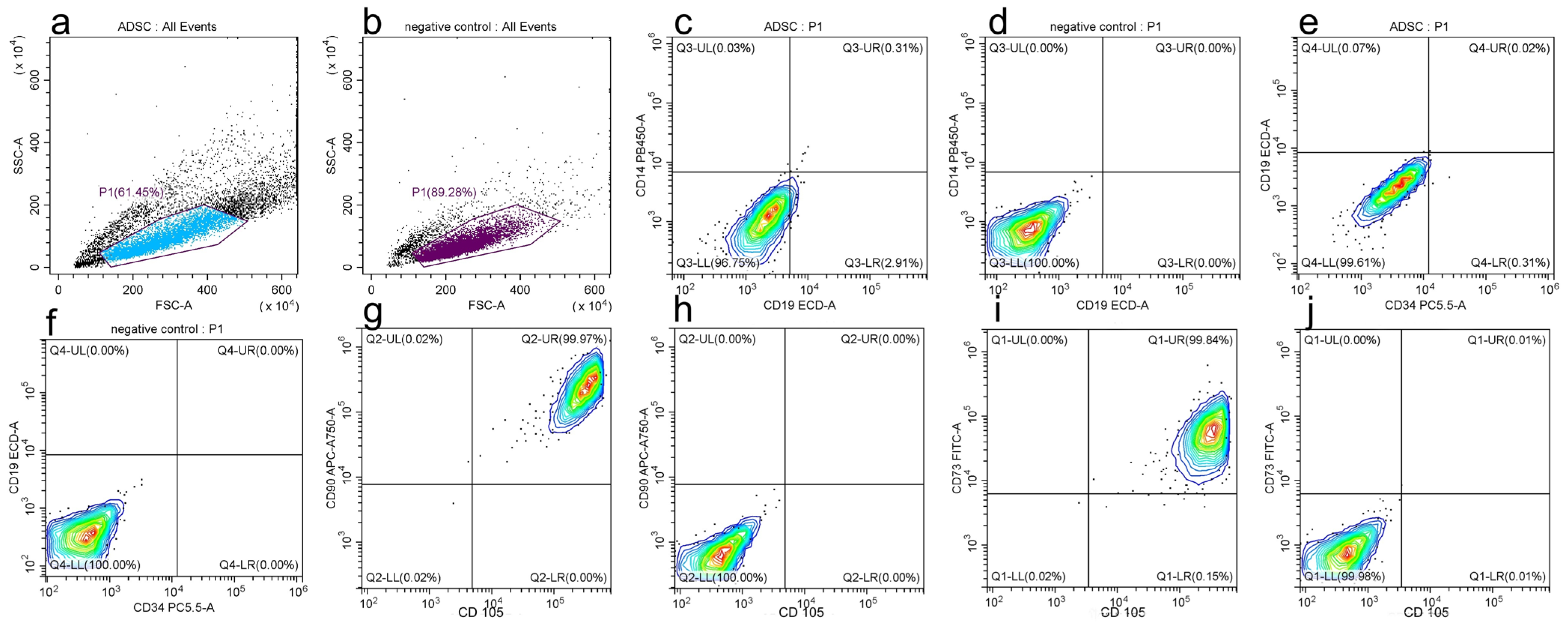 Medicina 59 00587 g010