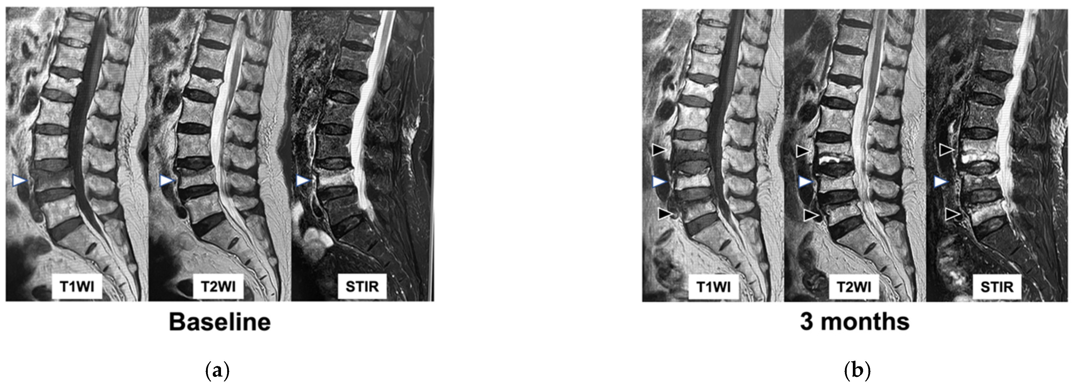 Medicina 59 00590 g001 Medicina 59 00590 g001