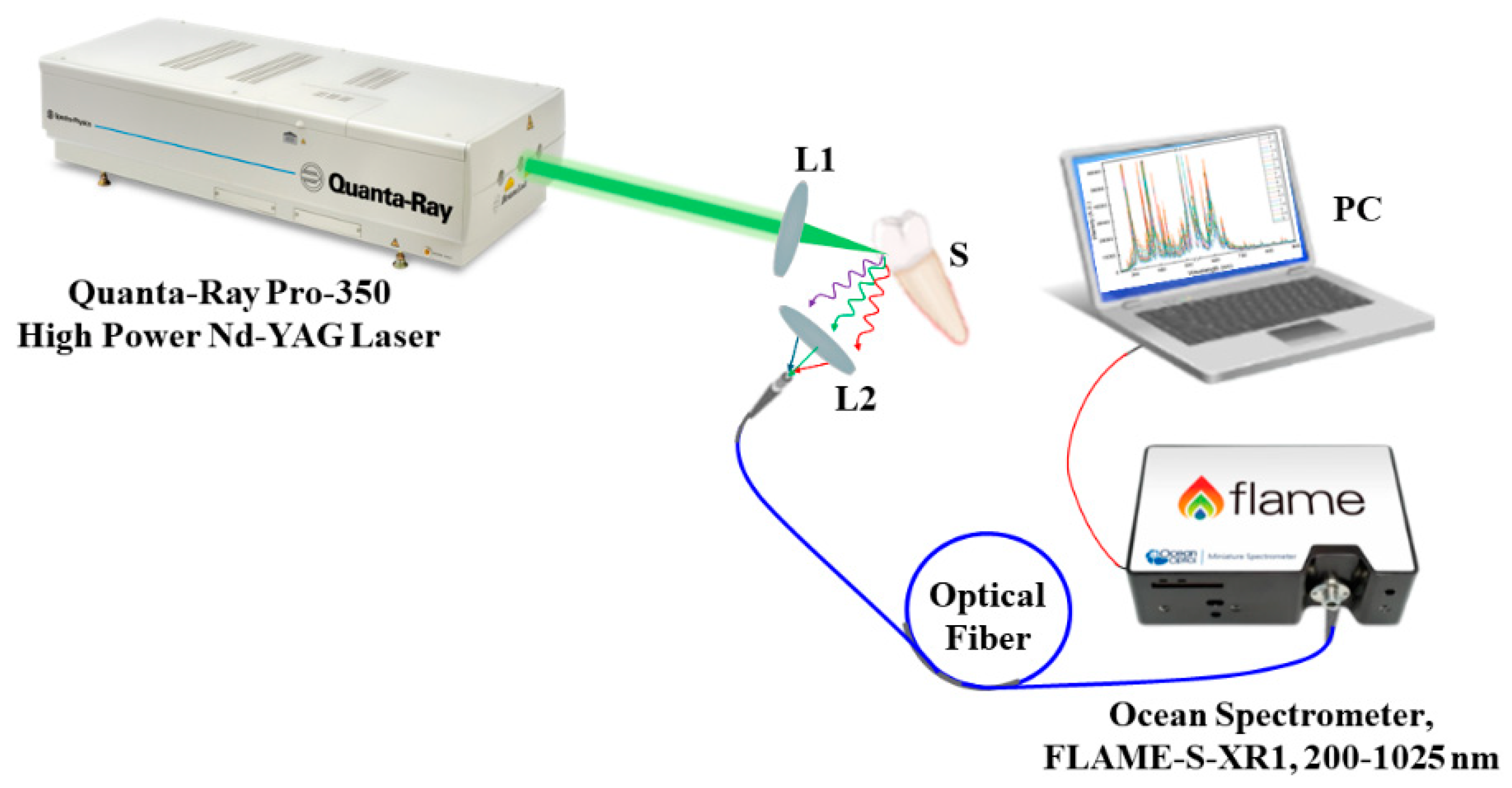 Medicina 59 00591 g002