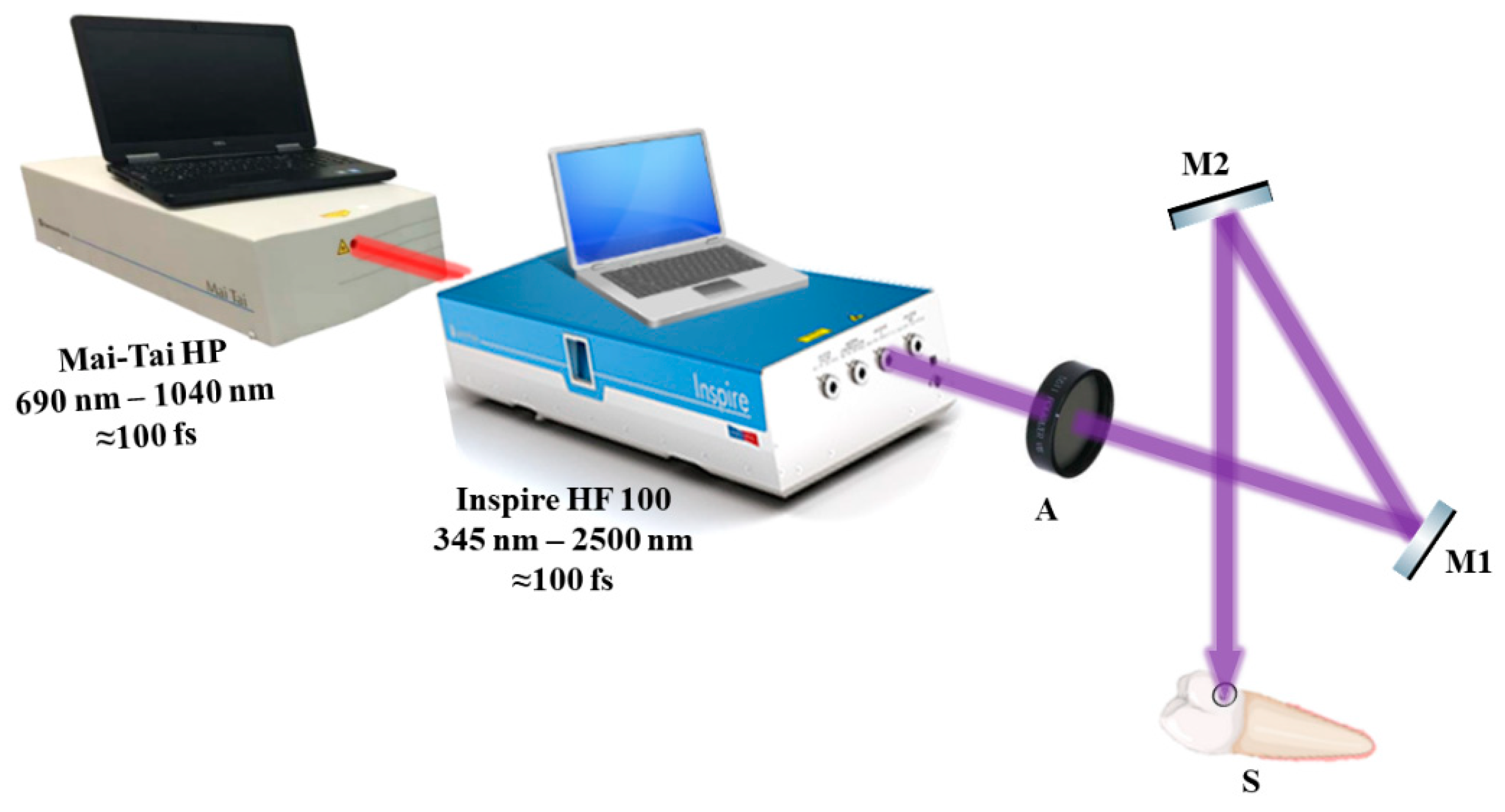 Medicina 59 00591 g003