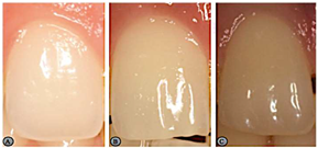 Medicina 59 00595 i006