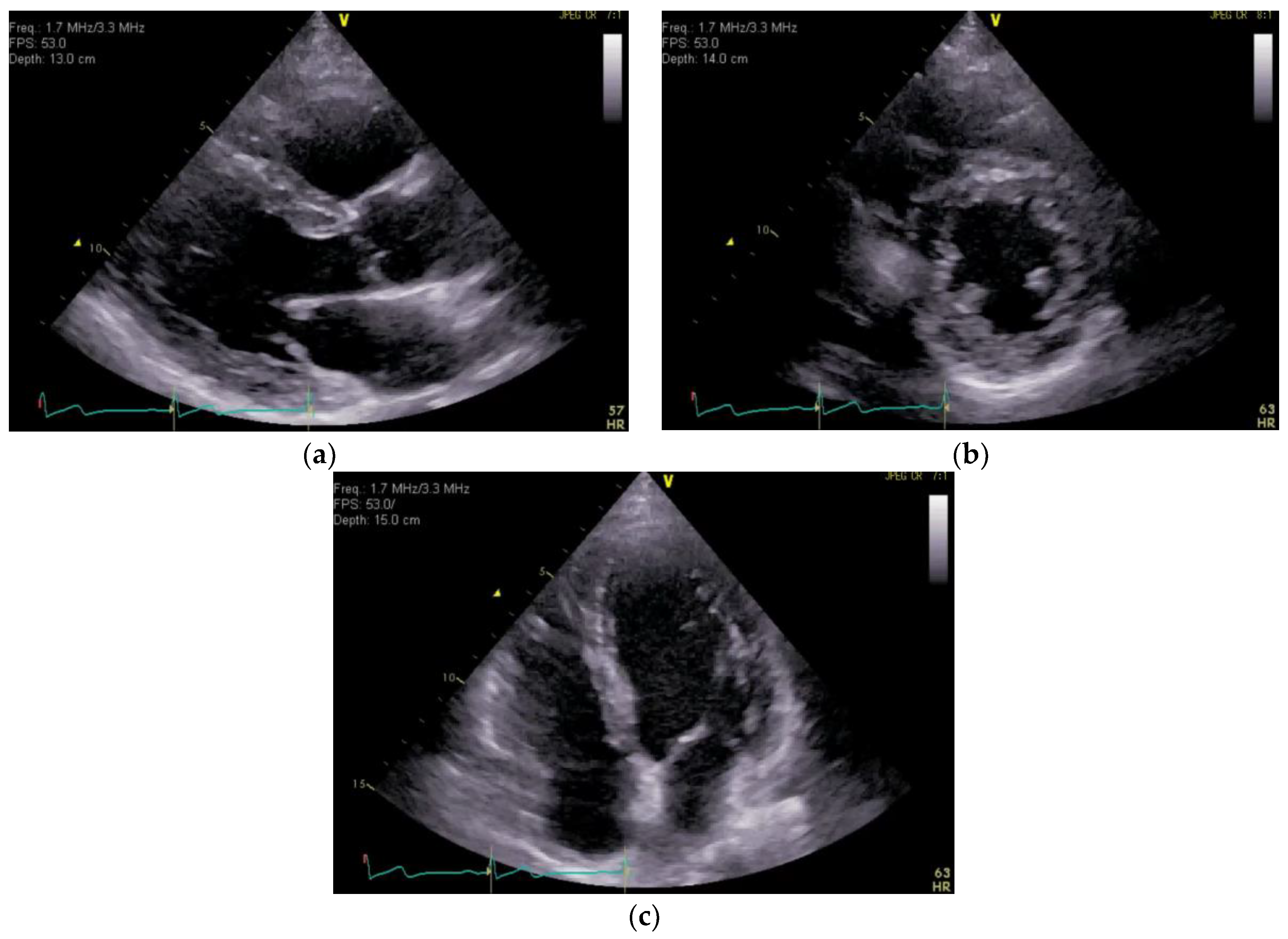 Medicina 59 00605 g002