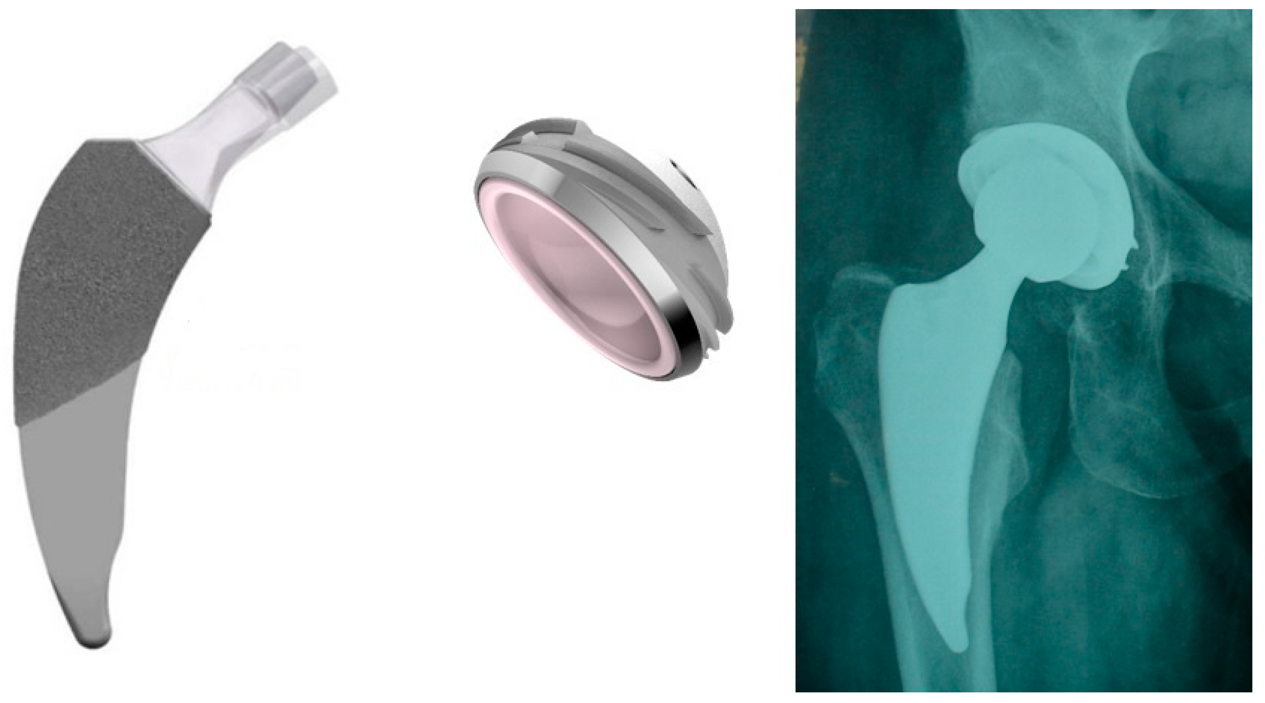 Medicina 59 00607 g001 Medicina 59 00607 g001