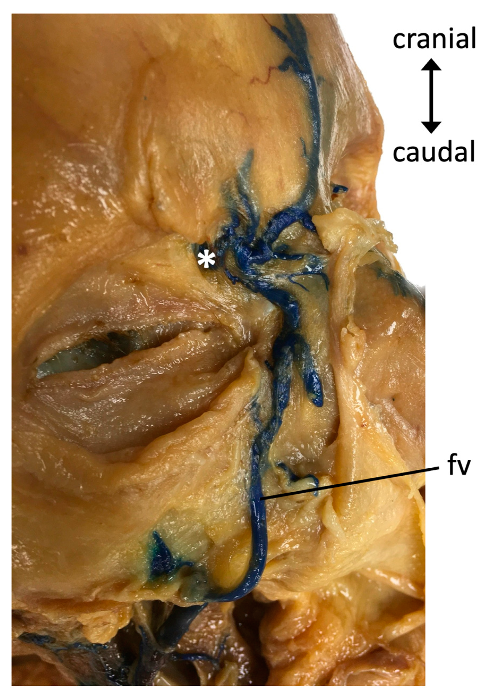 Medicina 59 00609 g003