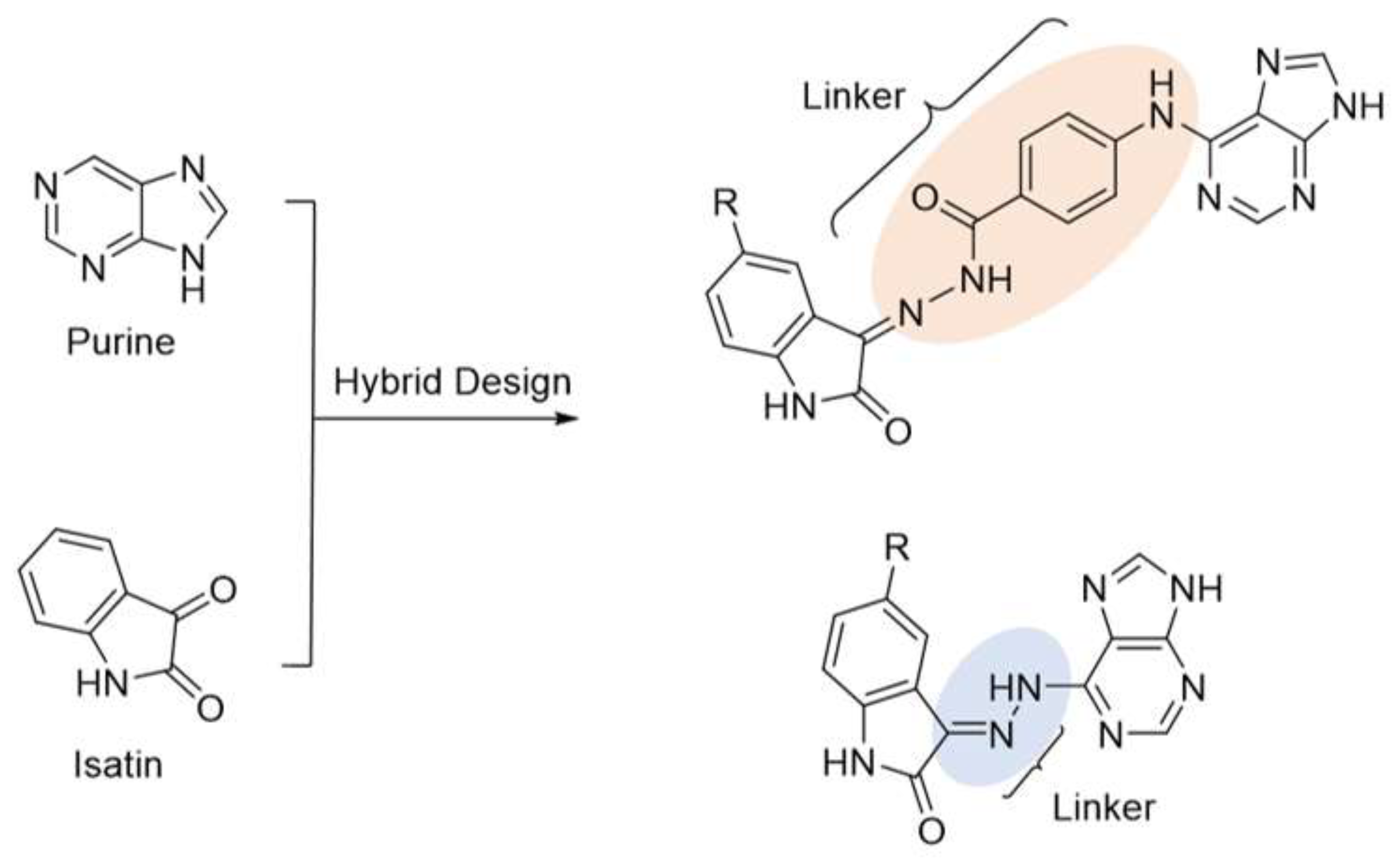 Medicina 59 00610 g002