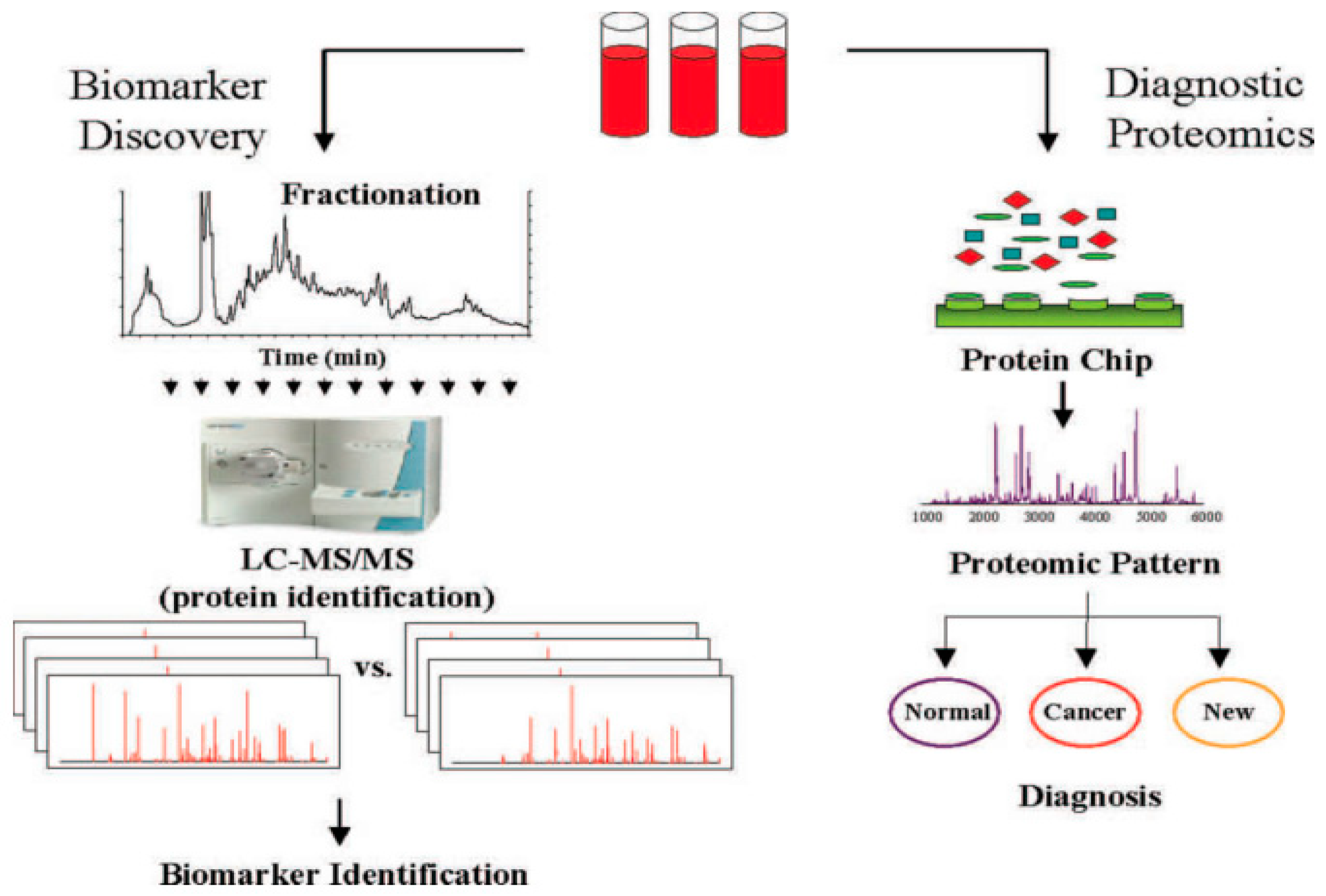 Medicina 59 00612 g003