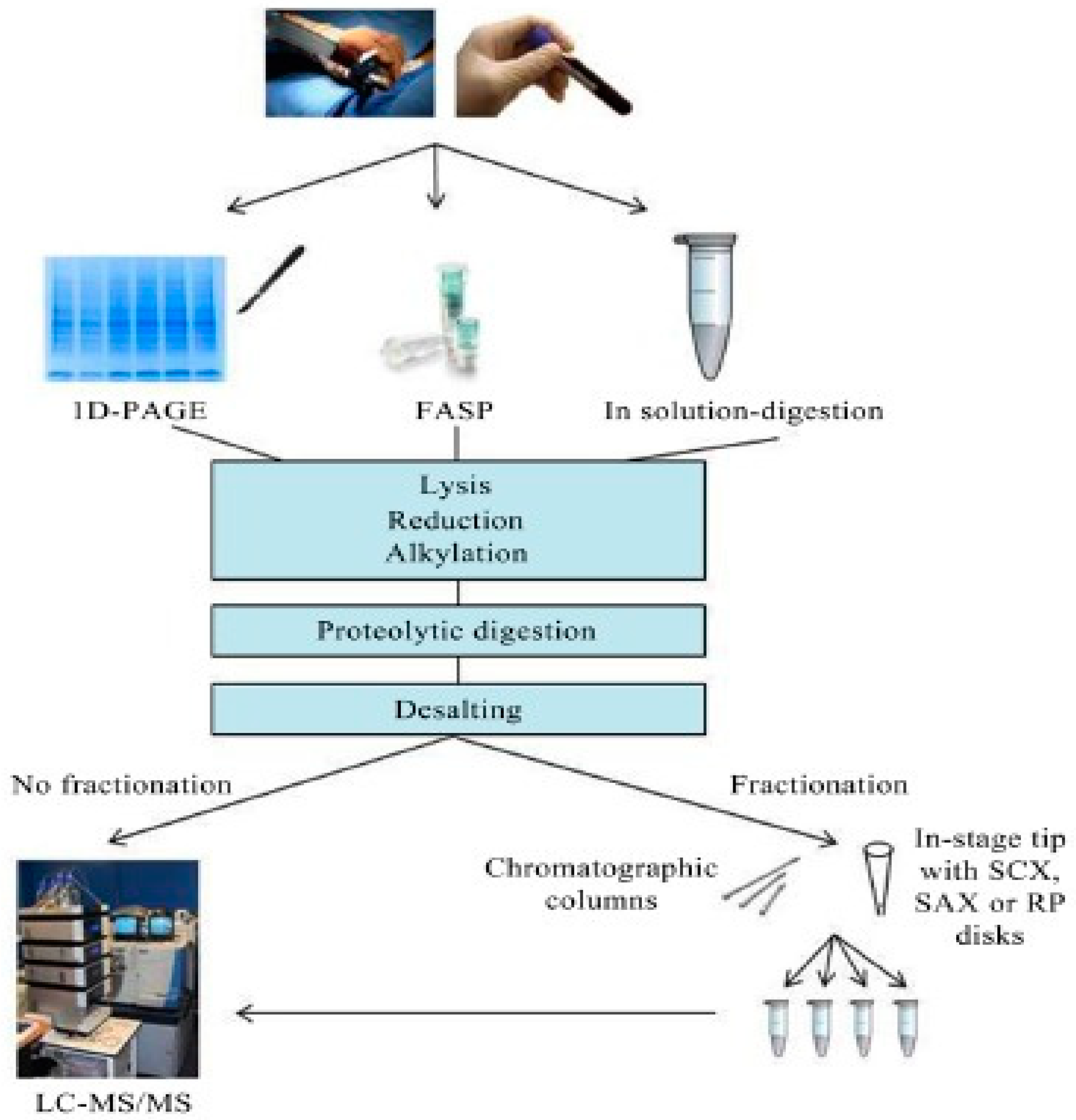 Medicina 59 00612 g004