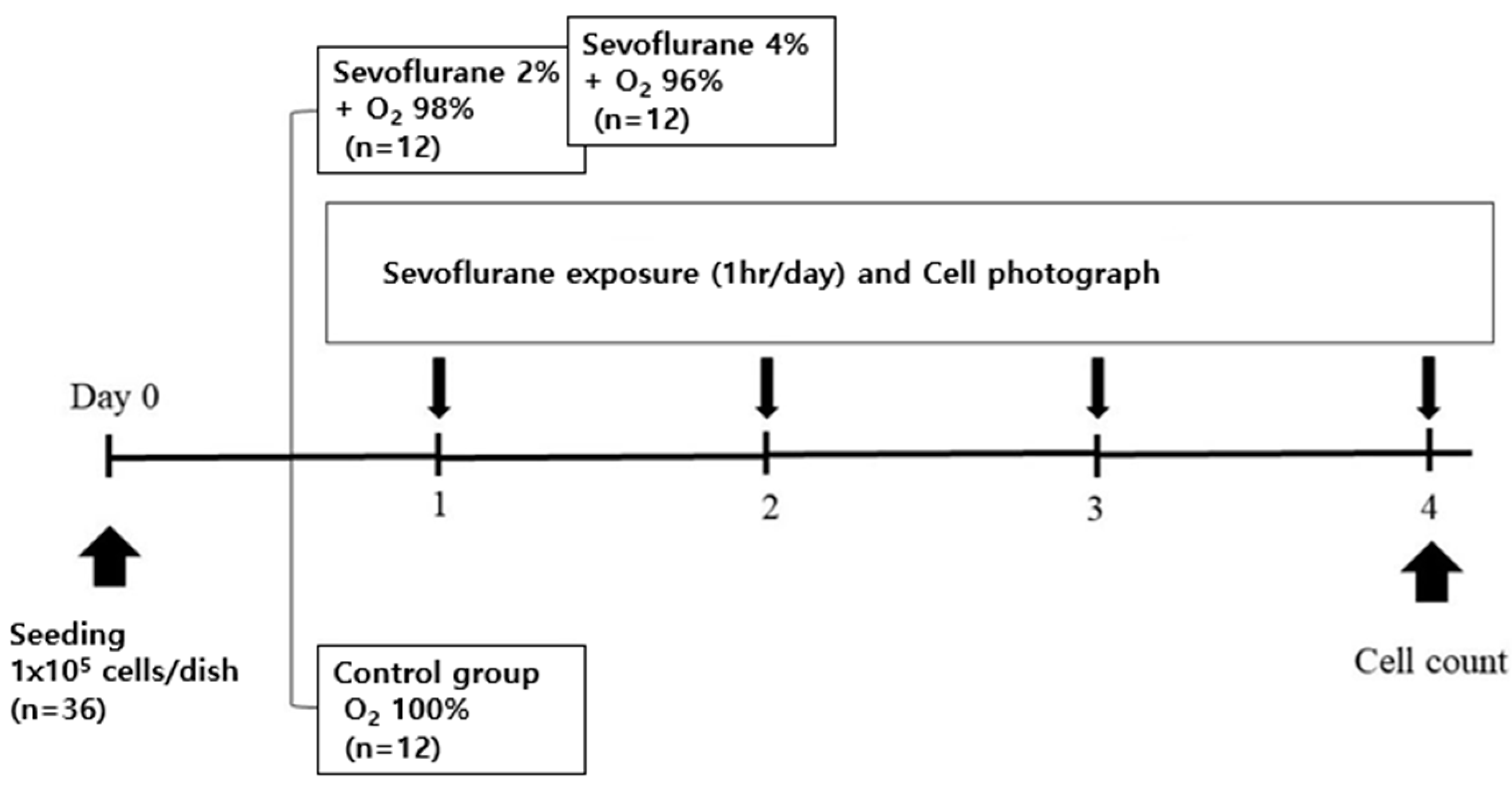 Medicina 59 00613 g001 Medicina 59 00613 g001