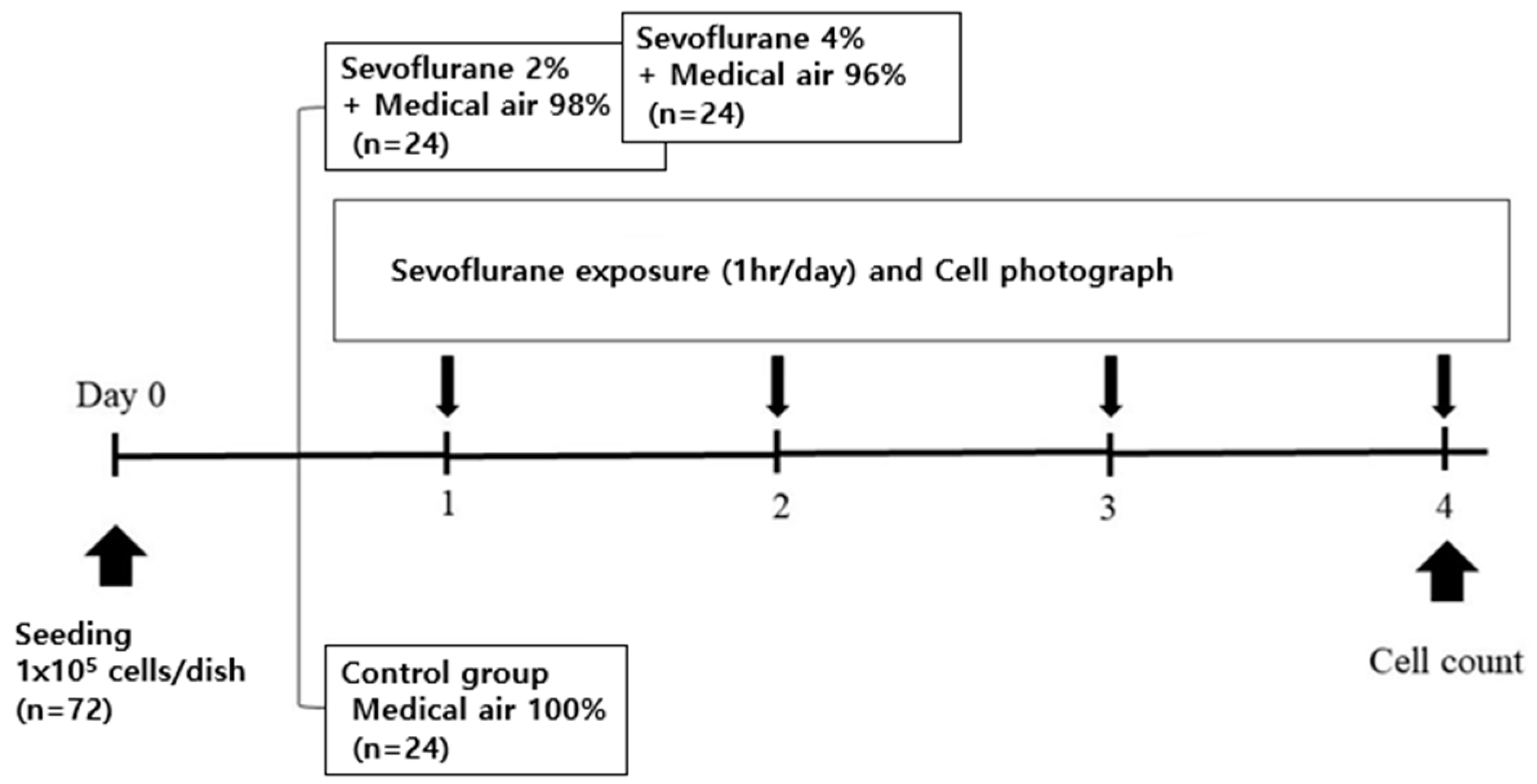 Medicina 59 00613 g002 Medicina 59 00613 g002